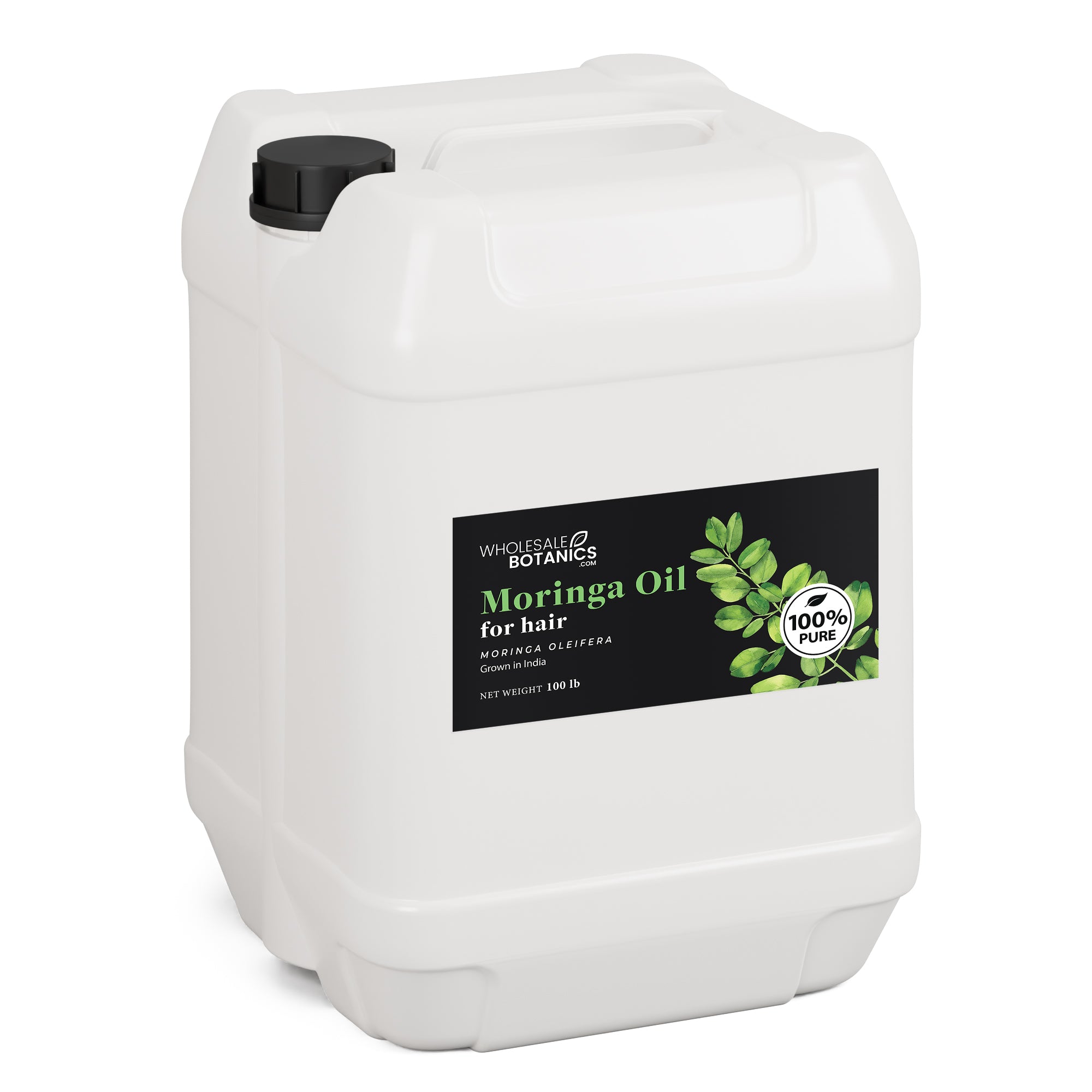 Moringa Oil for Hair