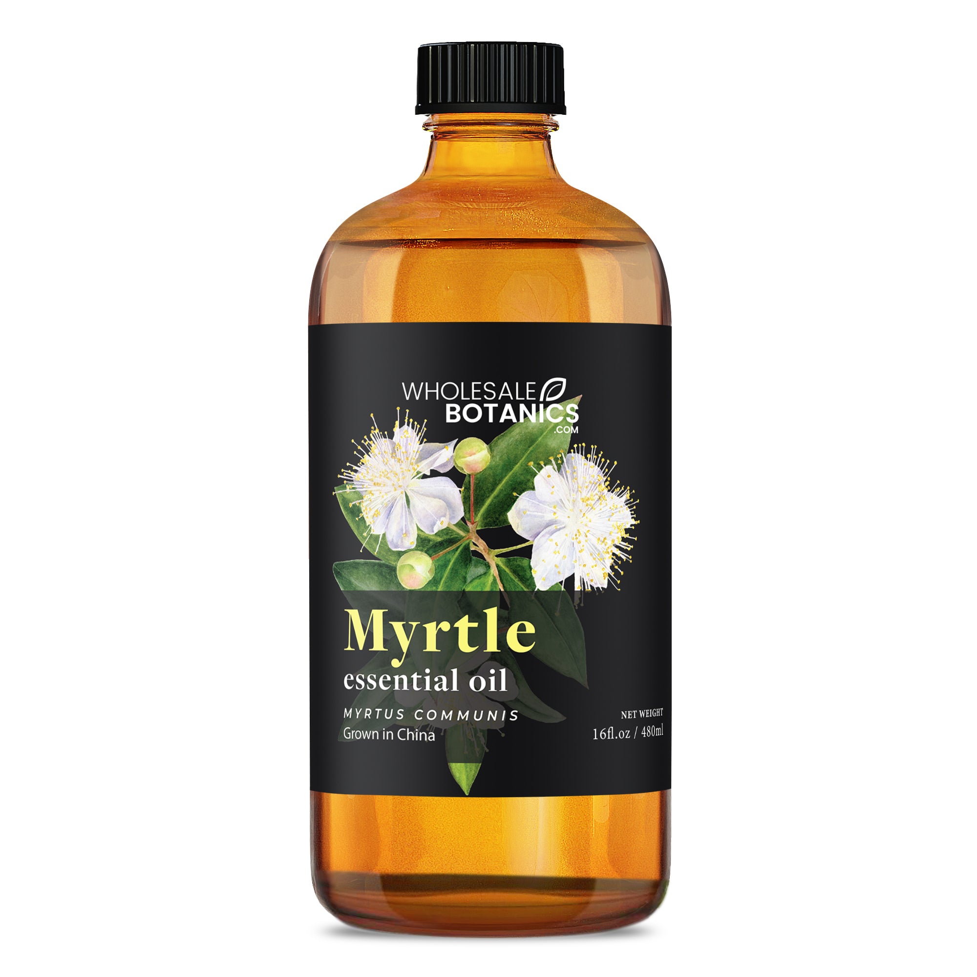 Myrtle Oil
