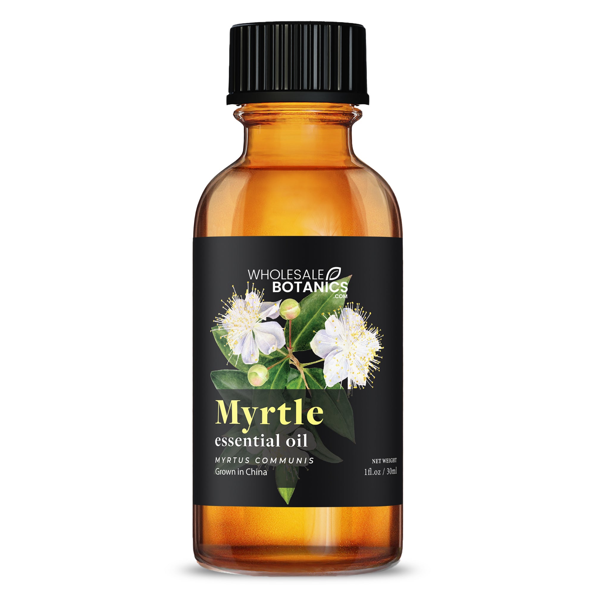 Myrtle Oil