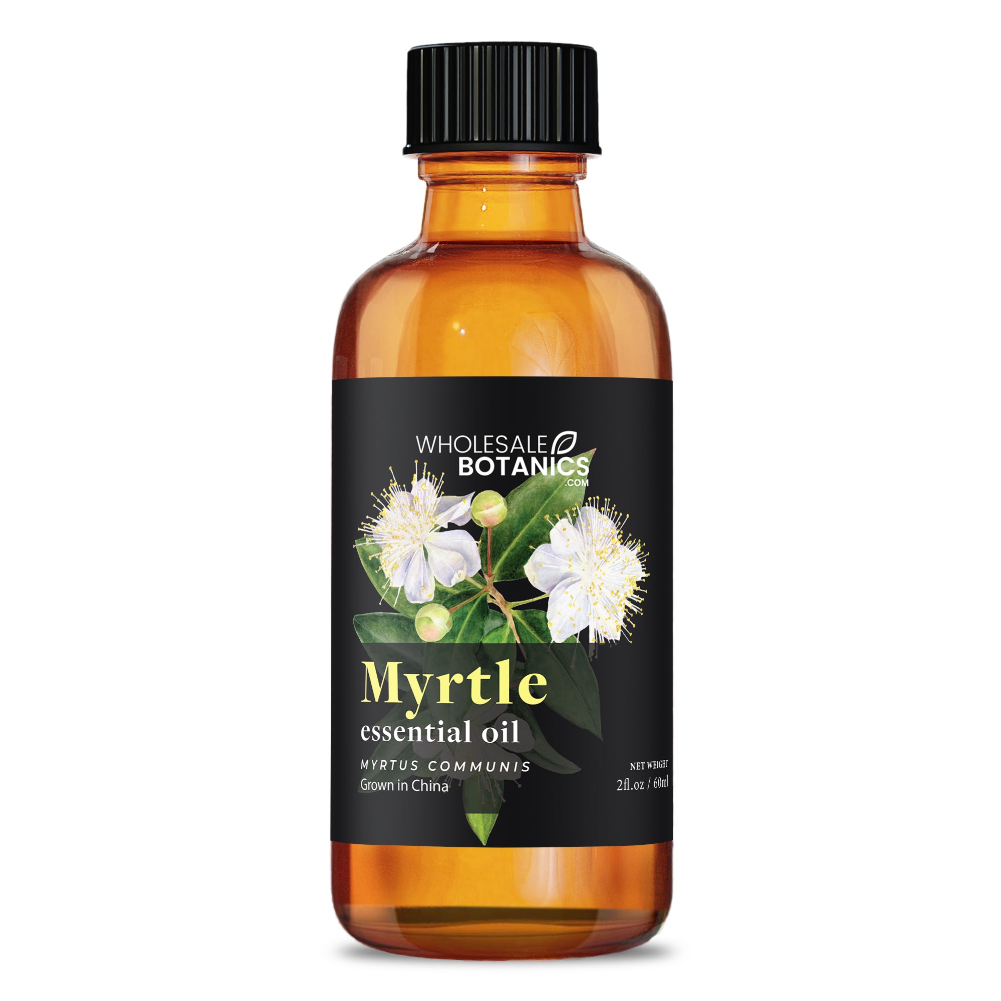 Myrtle Oil