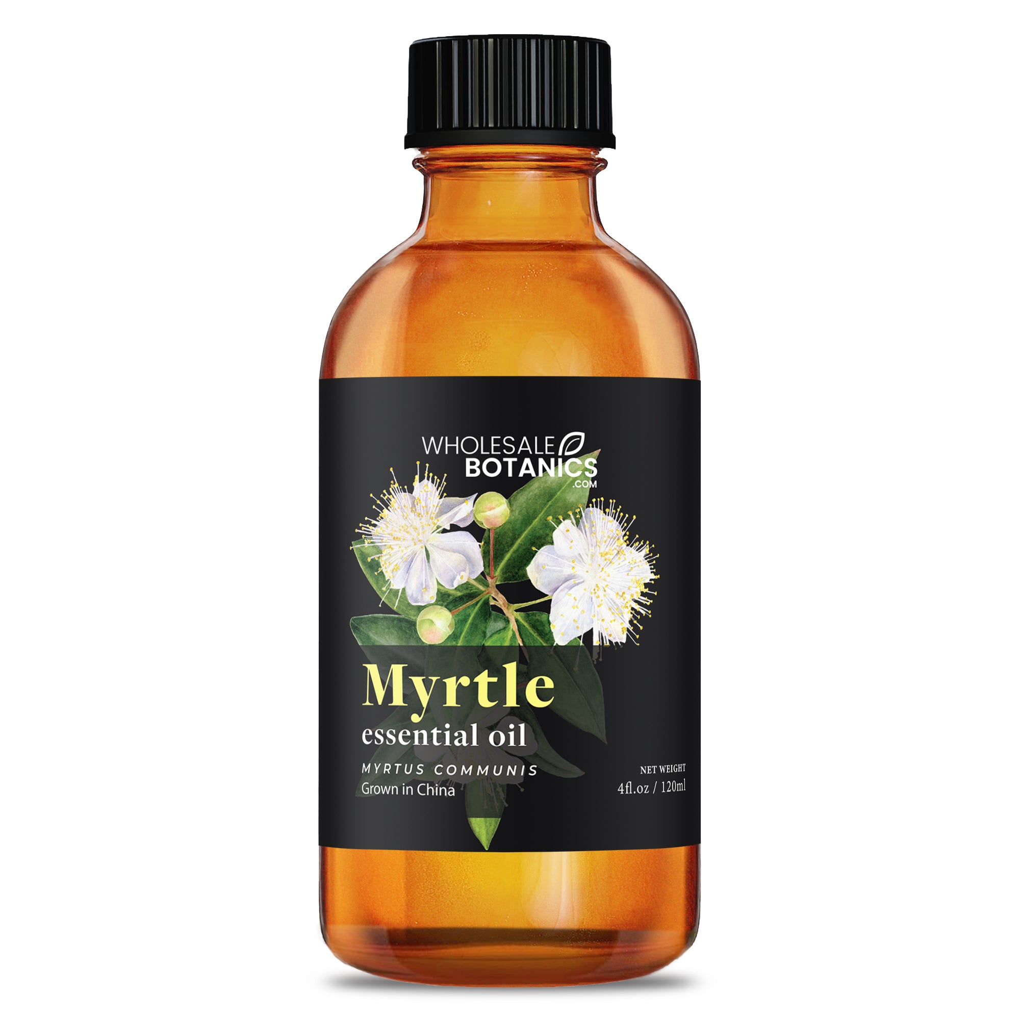 Myrtle Oil