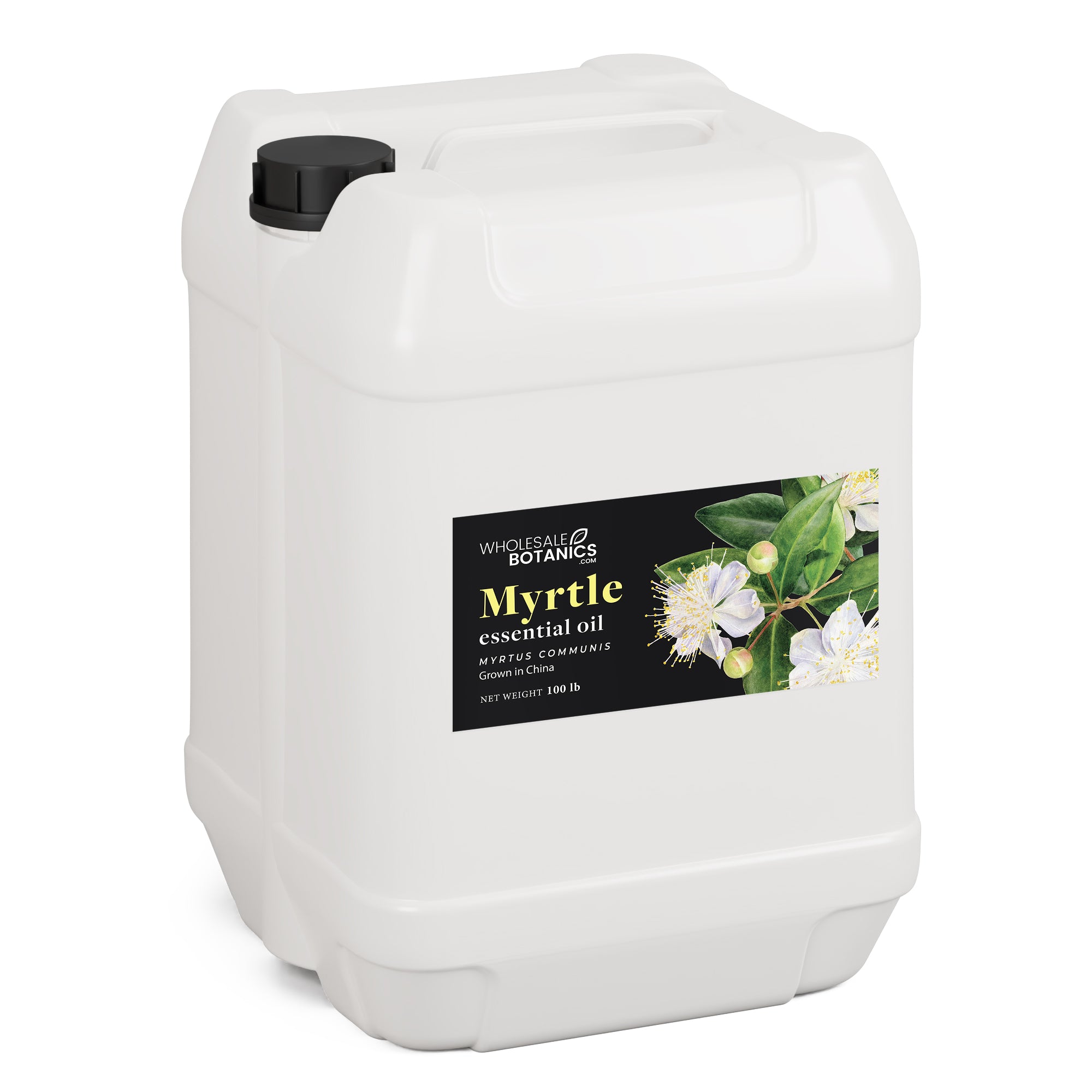 Myrtle Oil