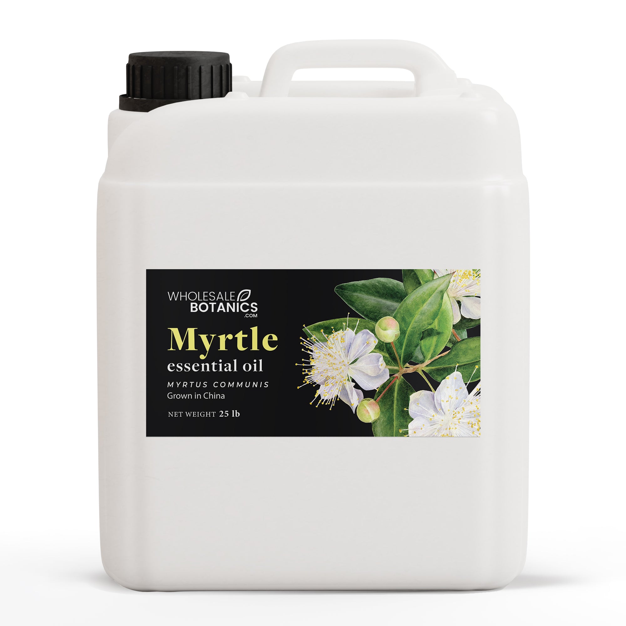 Myrtle Oil