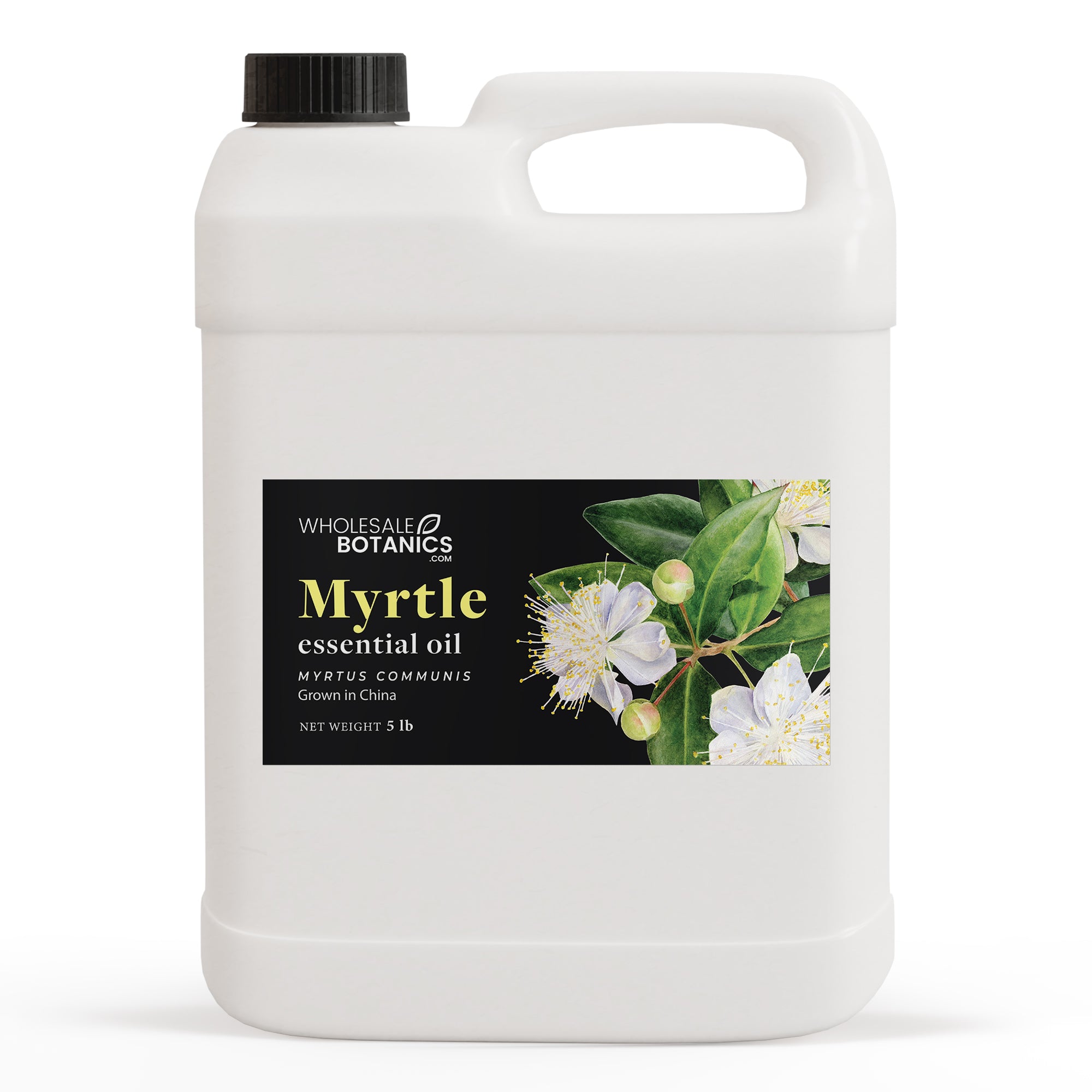 Myrtle Oil