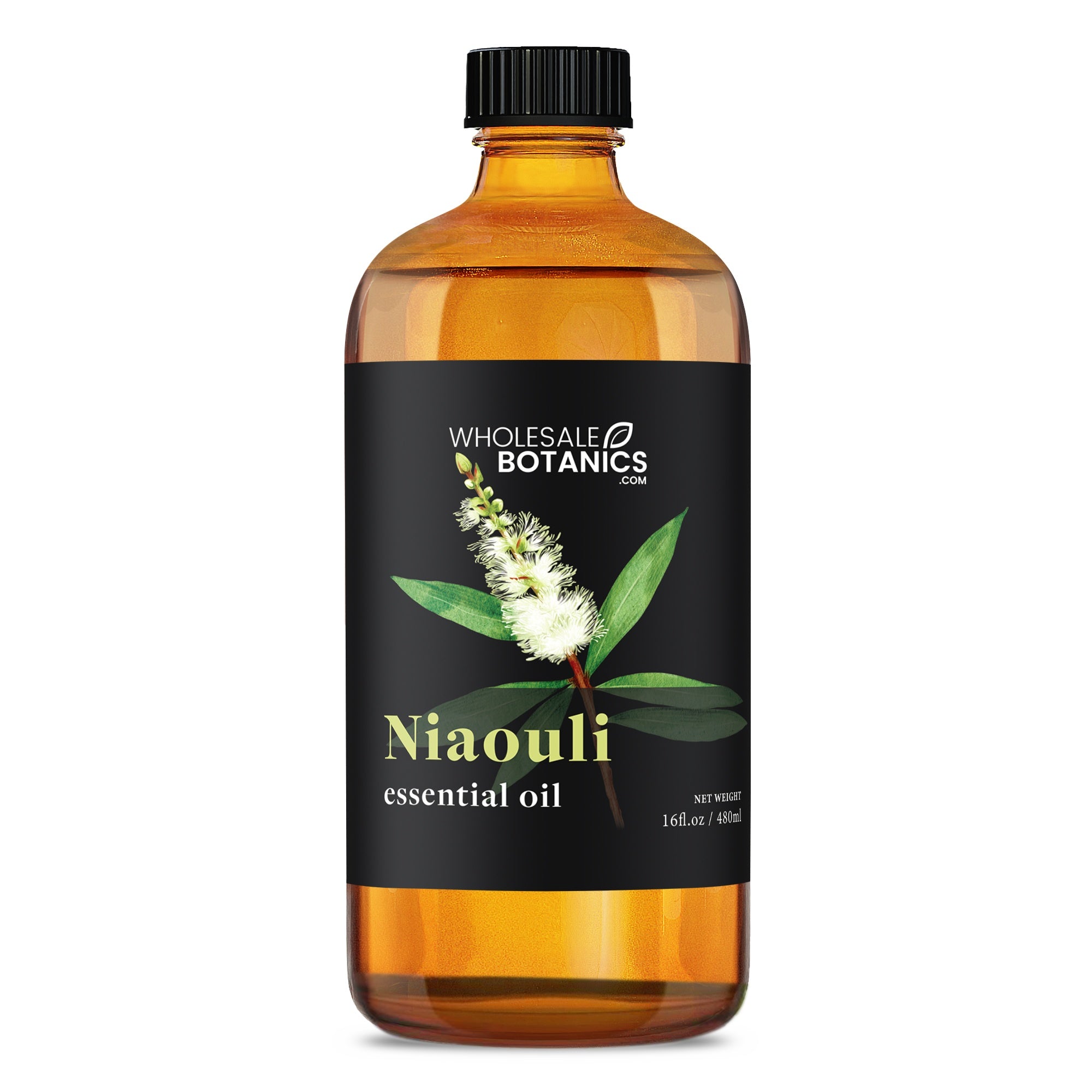 Niaouli Essential Oil