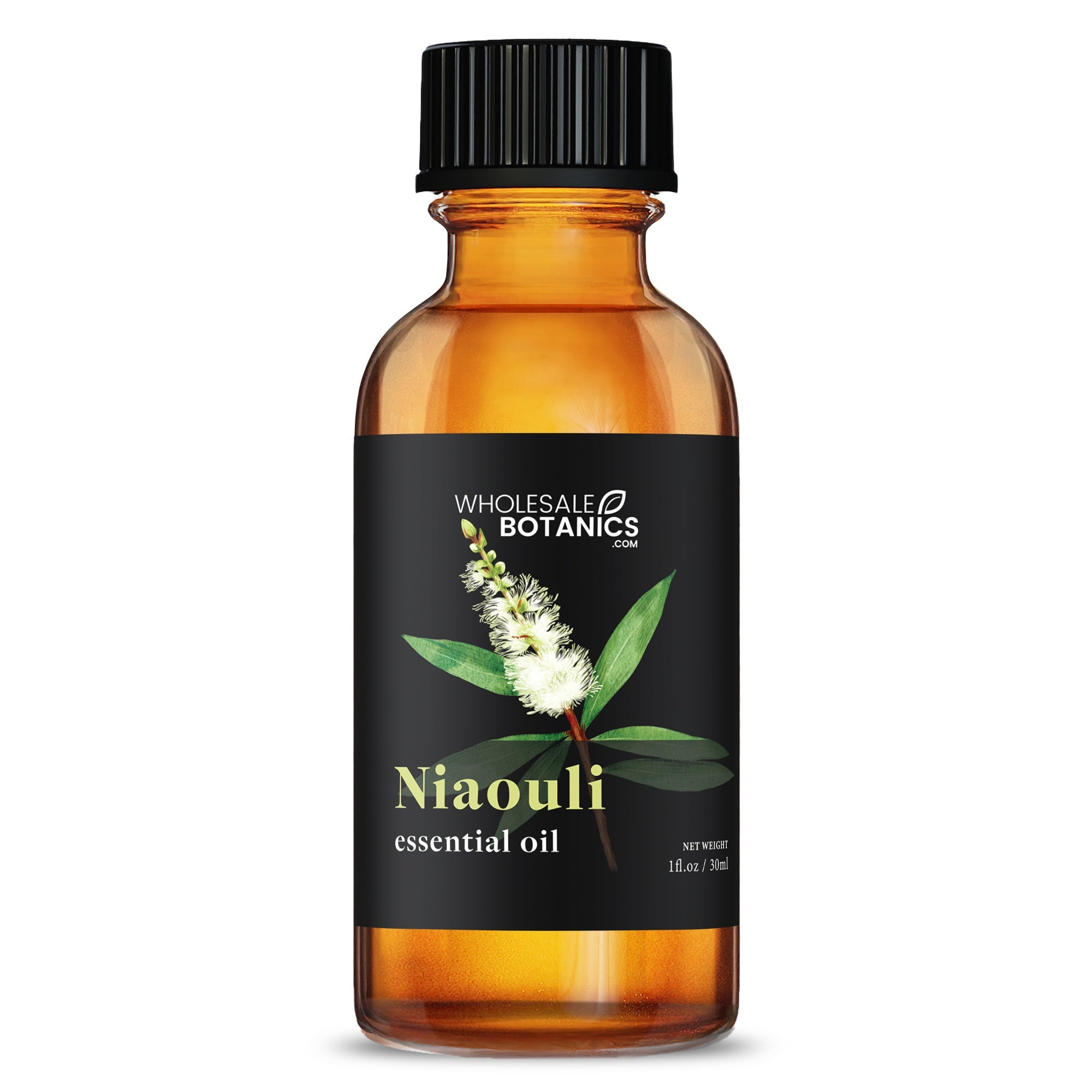 Niaouli Essential Oil