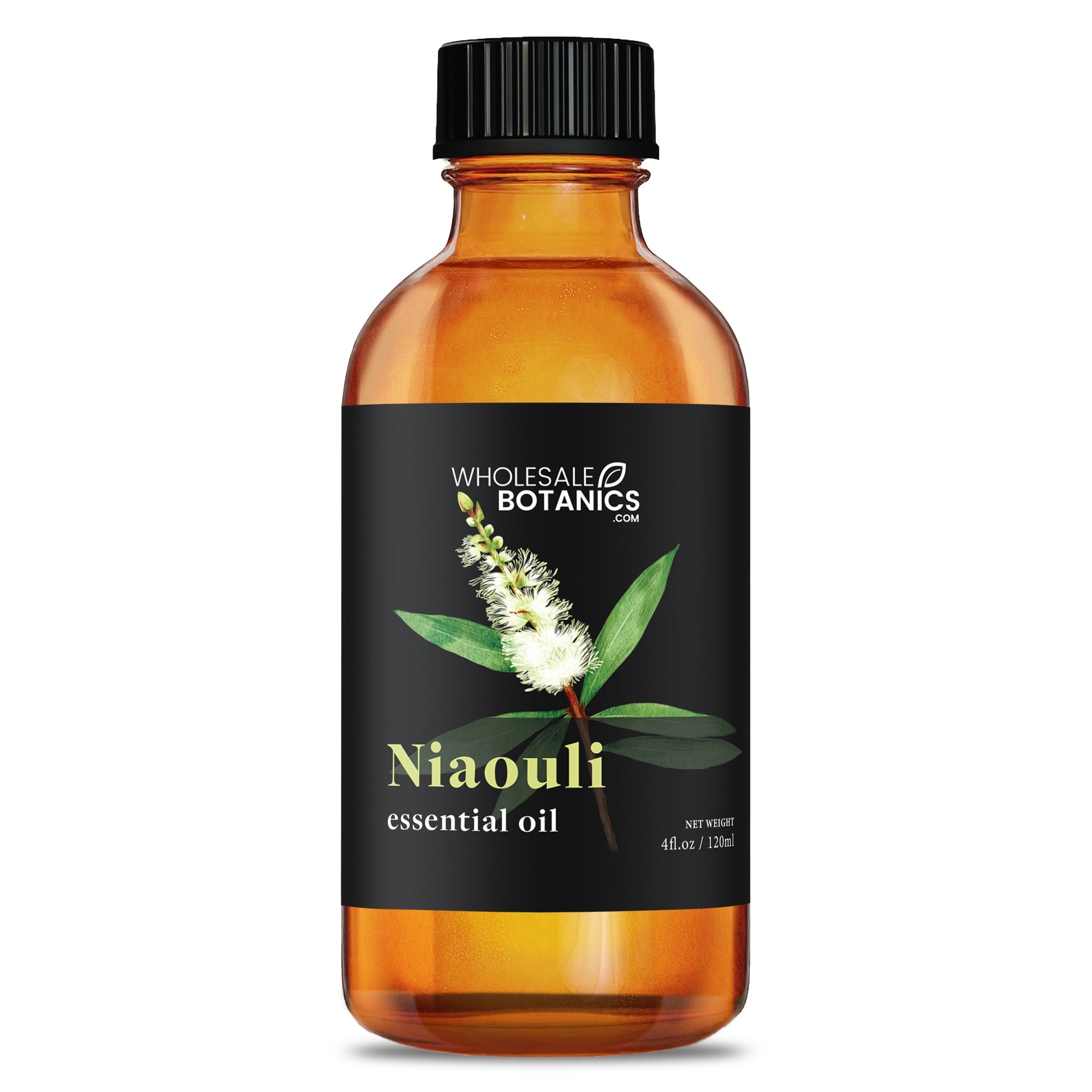 Niaouli Essential Oil