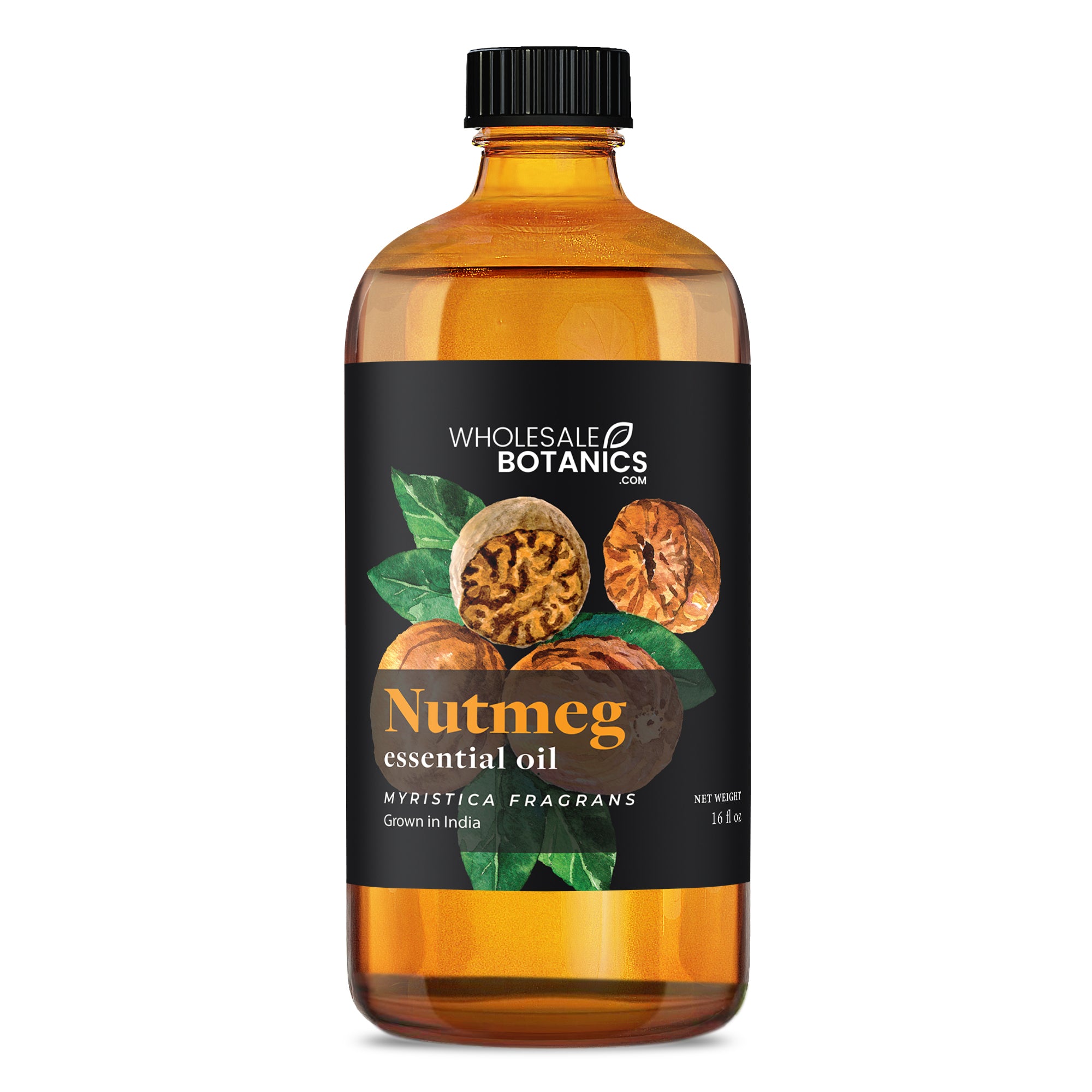 Nutmeg Essential Oil - Botanical