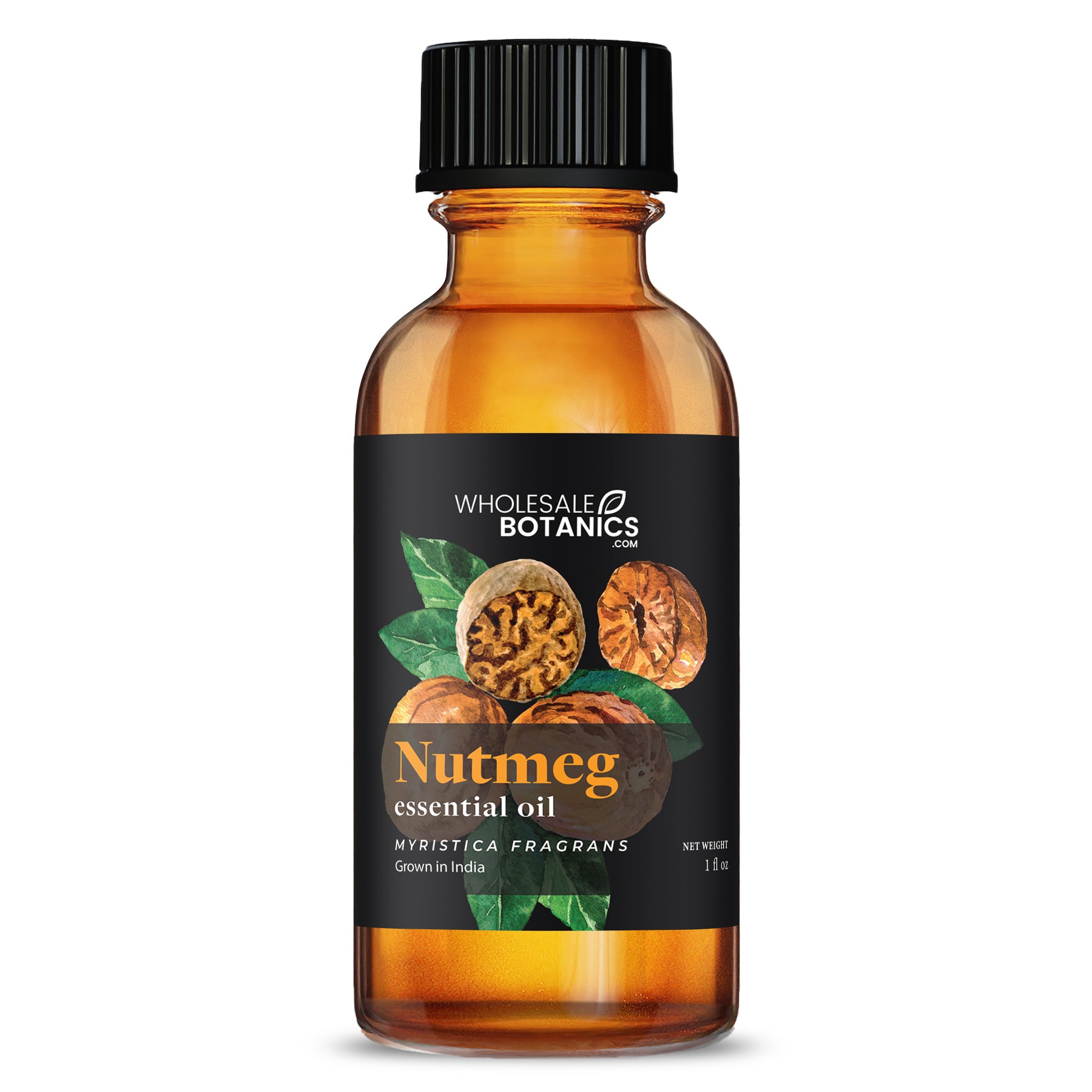 Nutmeg Essential Oil - Botanical