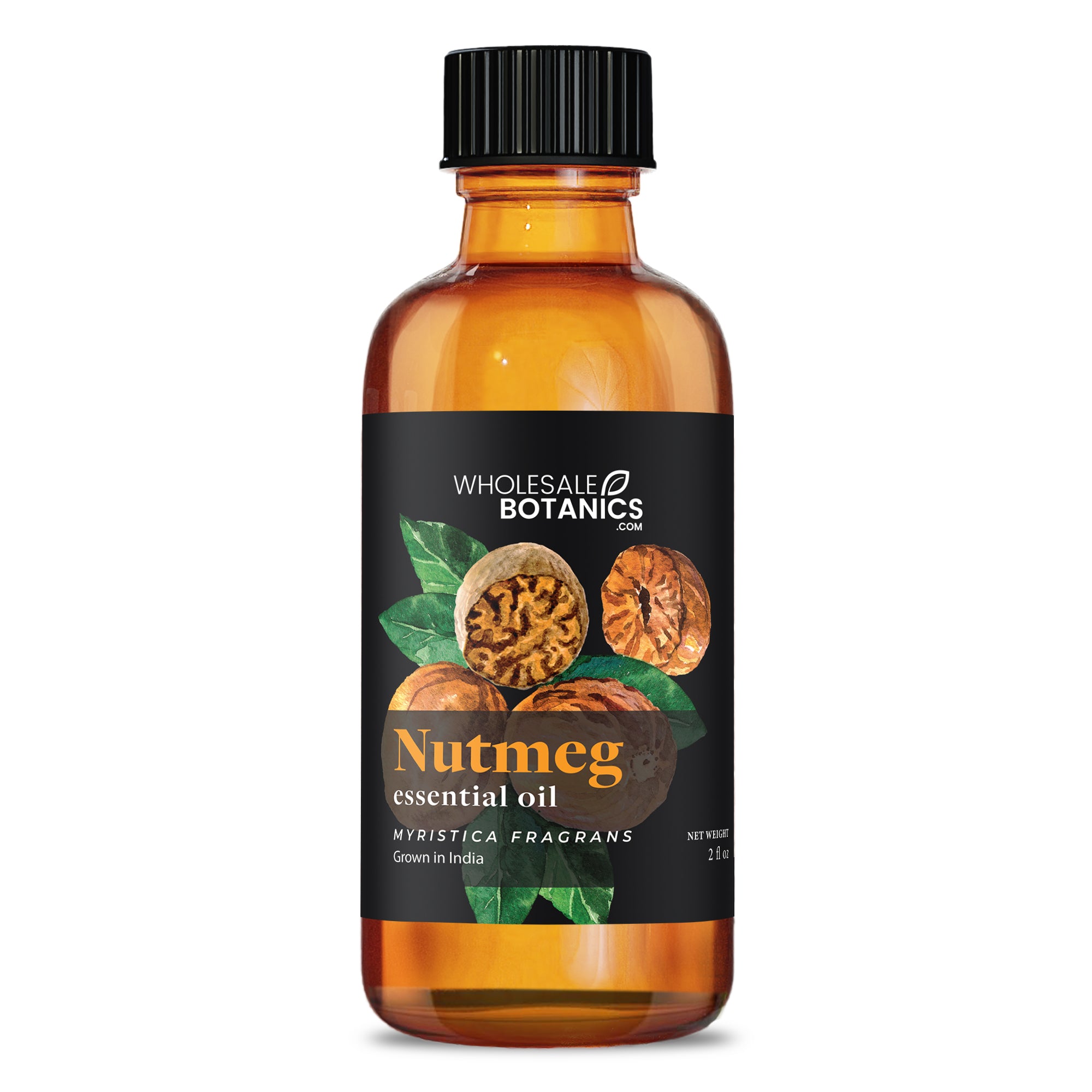 Nutmeg Essential Oil - Botanical