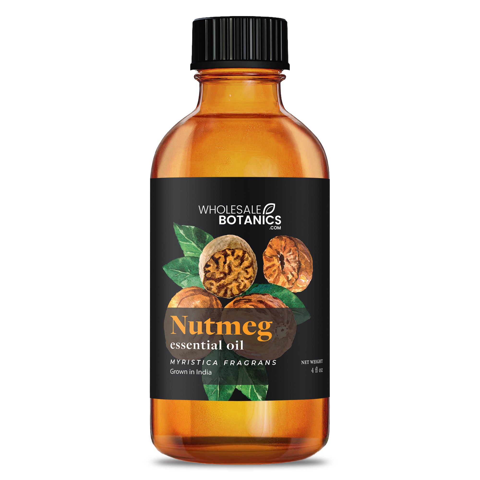Nutmeg Essential Oil - Botanical
