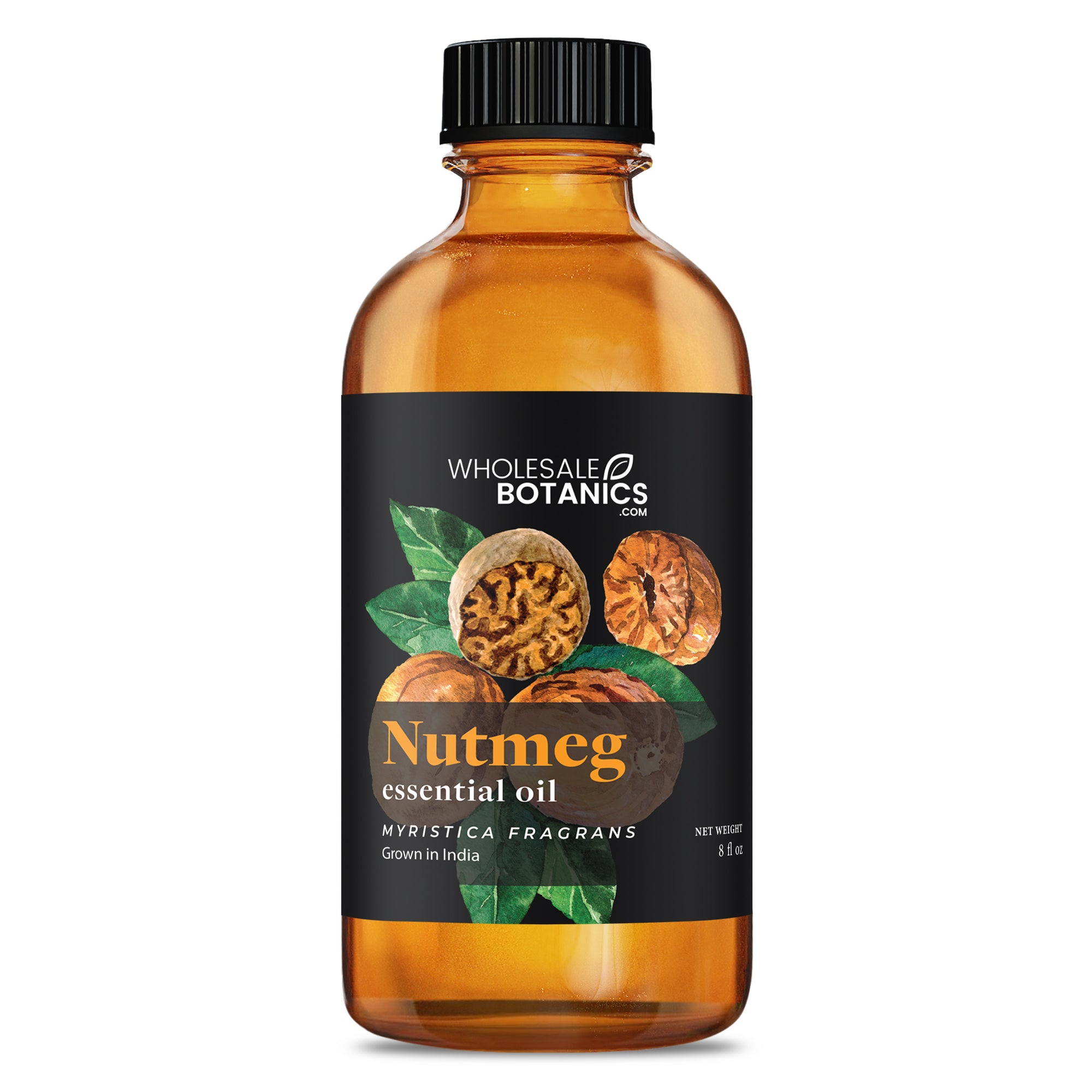 Nutmeg Essential Oil - Botanical
