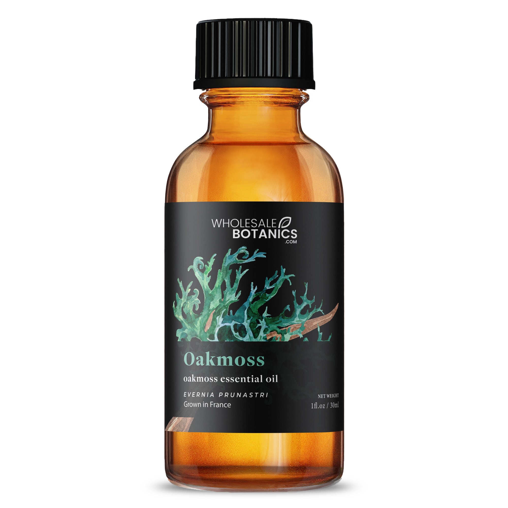 Oakmoss Absolute Organic - Evernia Prunastri Essential Oil