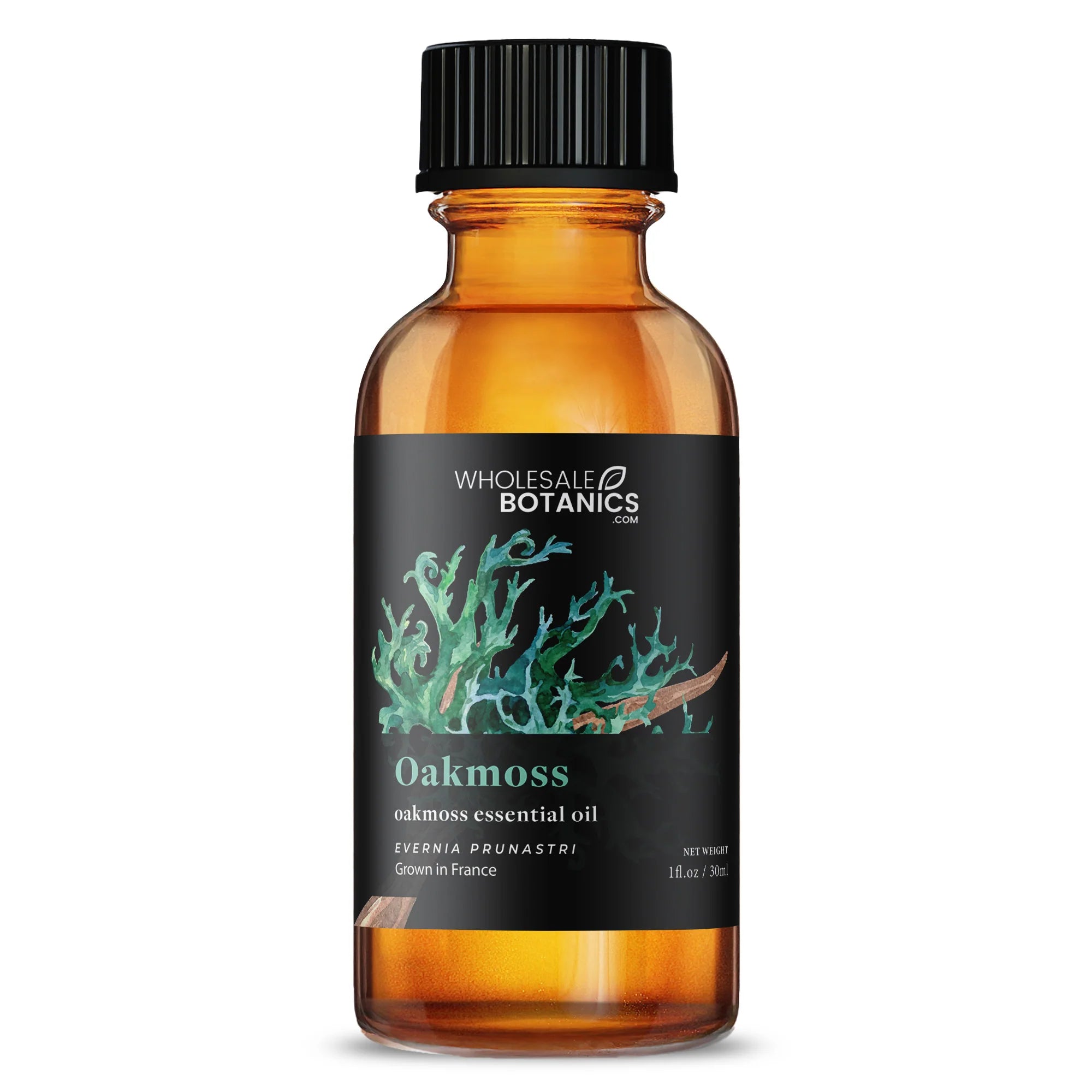 Woodsy Wonders Essential Oil Bundle