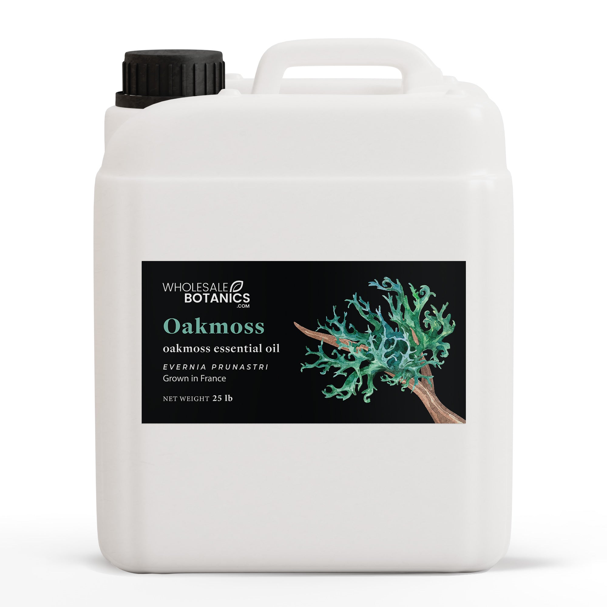 Oakmoss Essential Oil (Evernia prunastri)