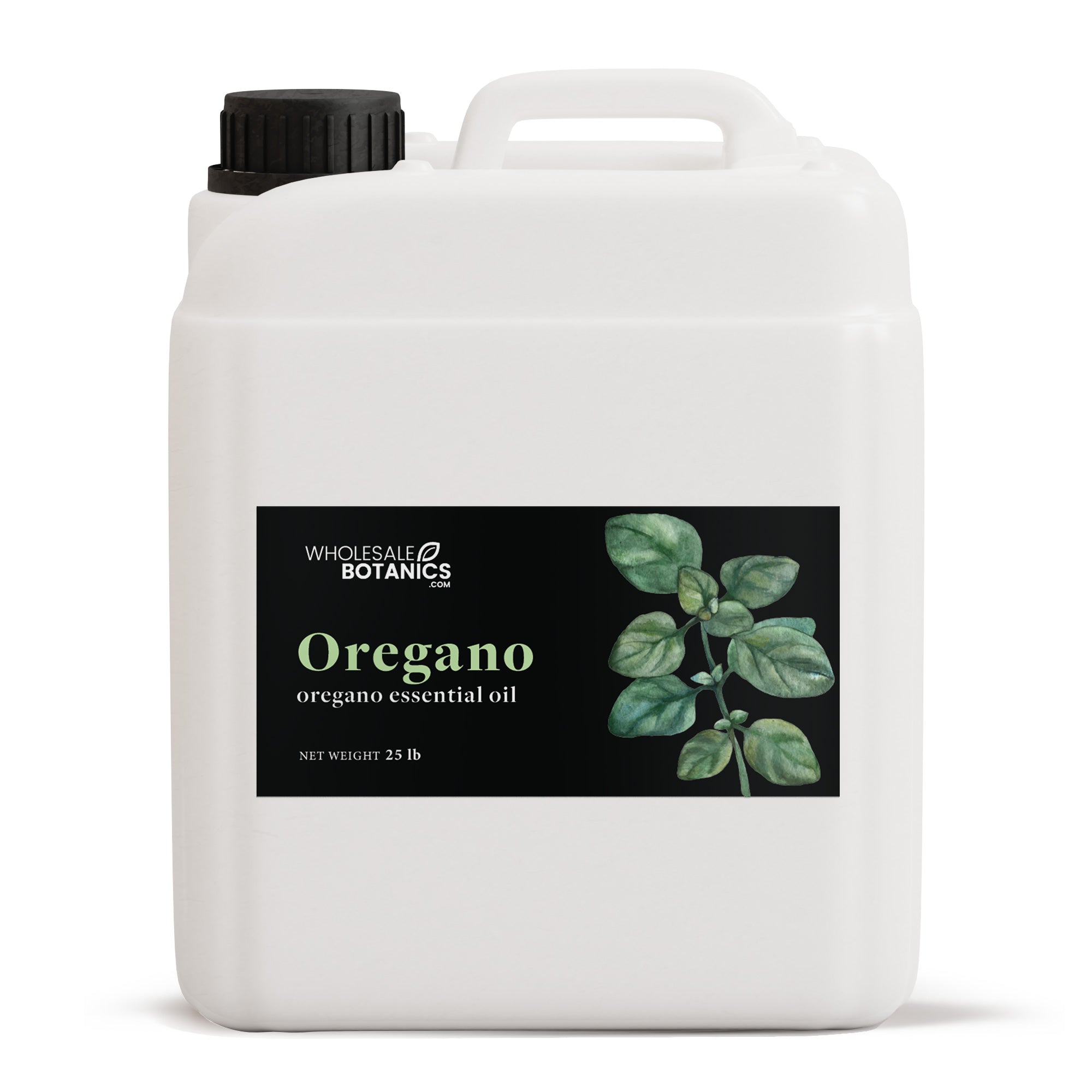 Oregano Essential Oil - Botanical