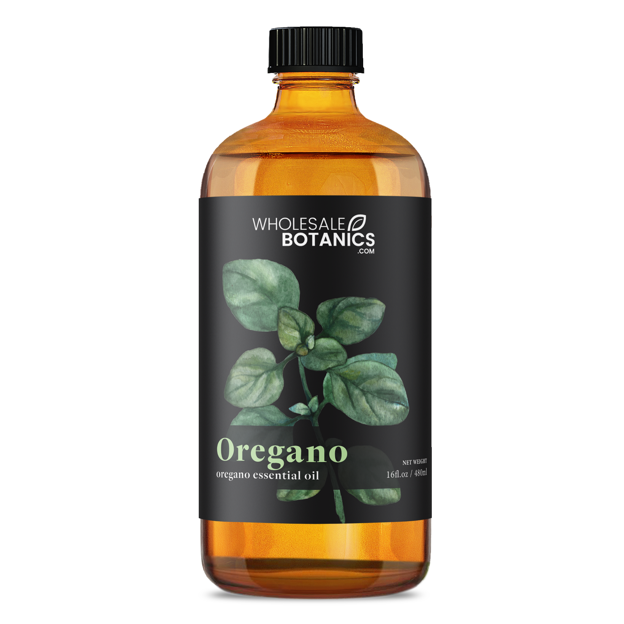 Oregano Essential Oil - Botanical