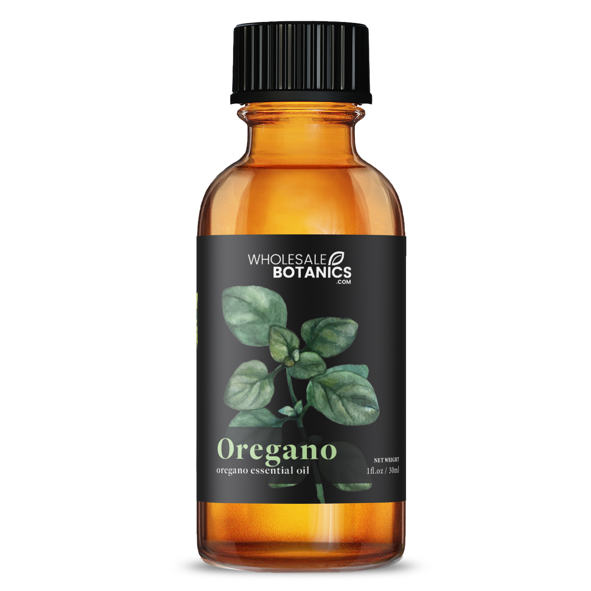 Oregano Essential Oil - Botanical