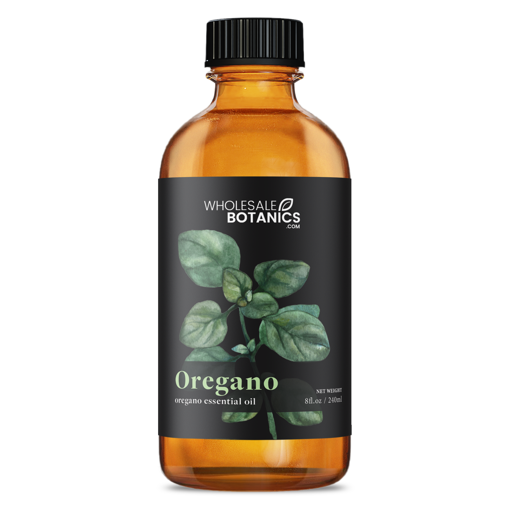 Oregano Essential Oil - Botanical