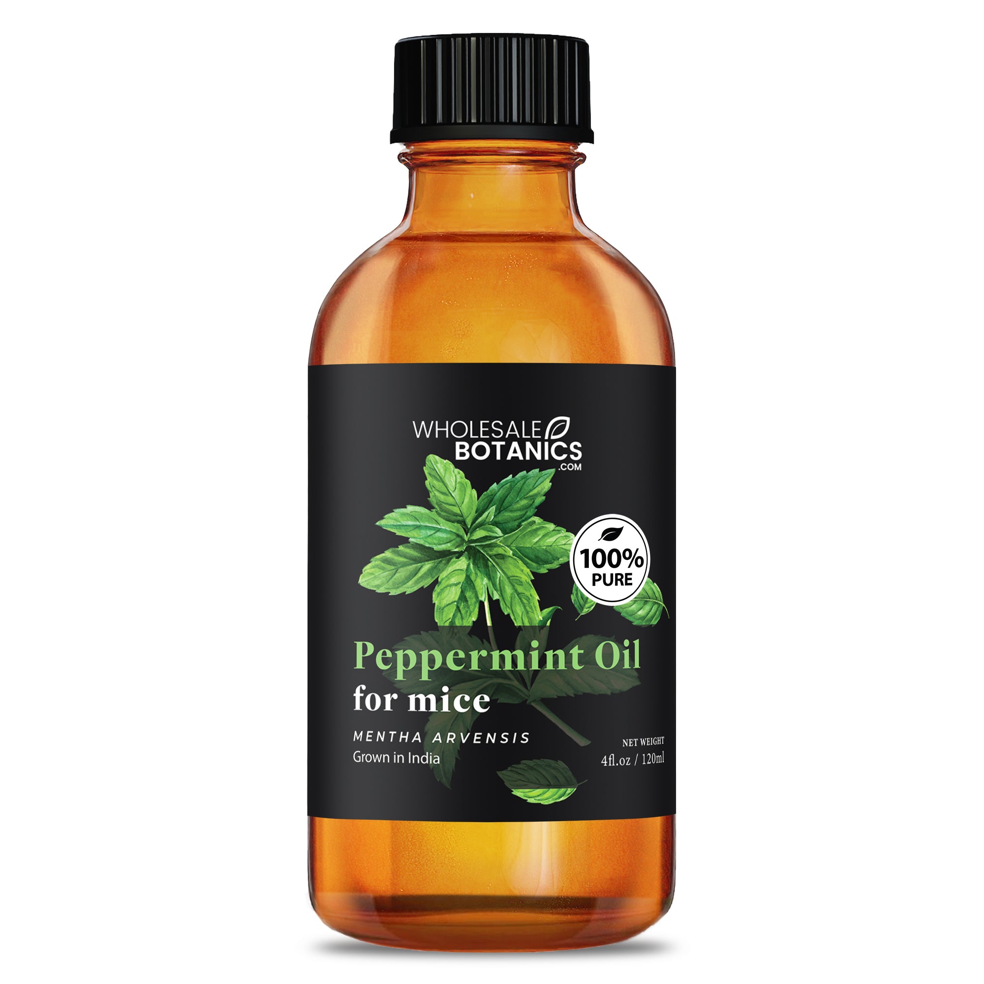 Peppermint Oil for Mice