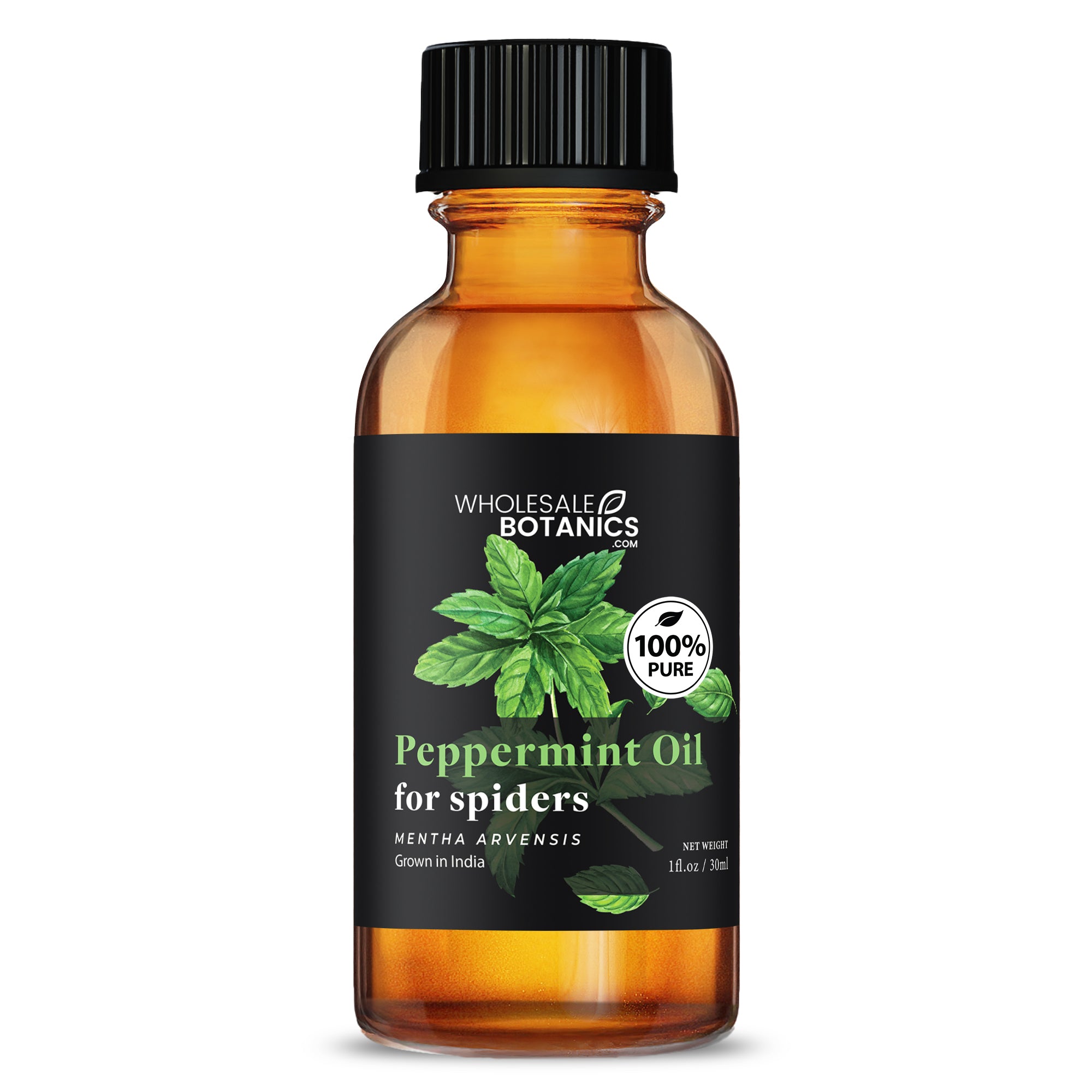 Peppermint Oil for Spiders