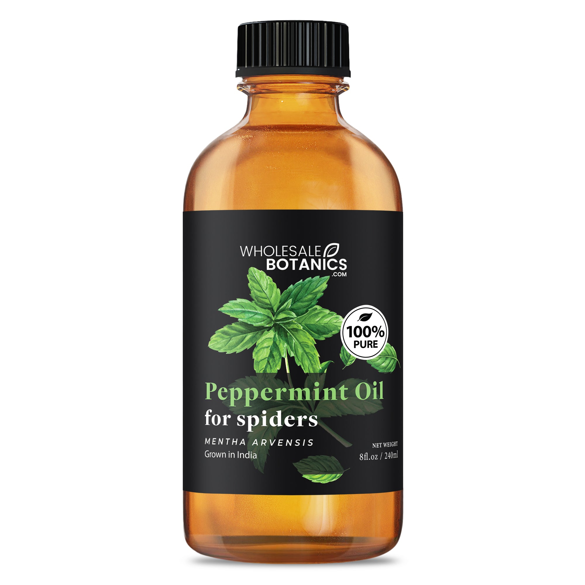 Peppermint Oil for Spiders