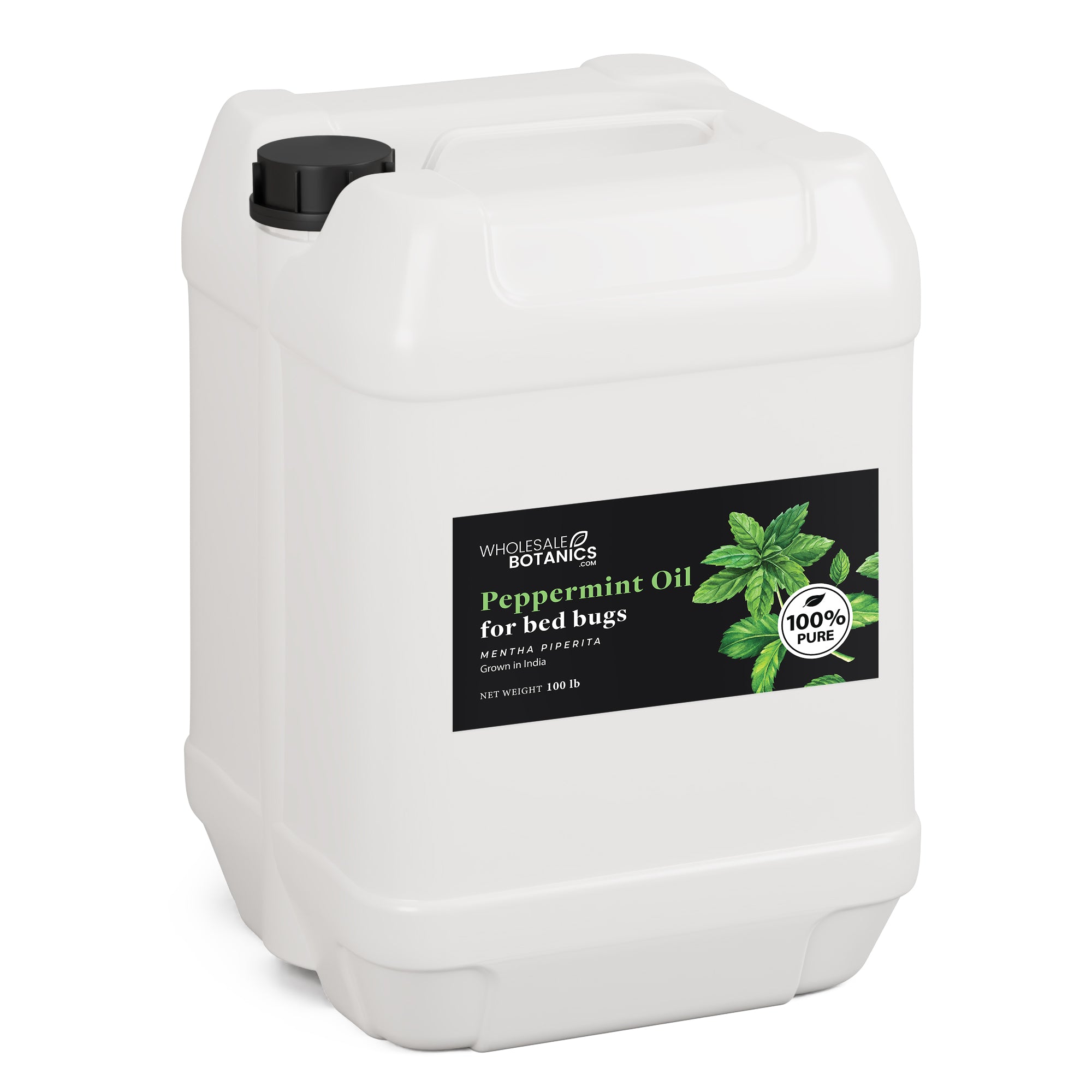 Peppermint Oil for Bed Bugs