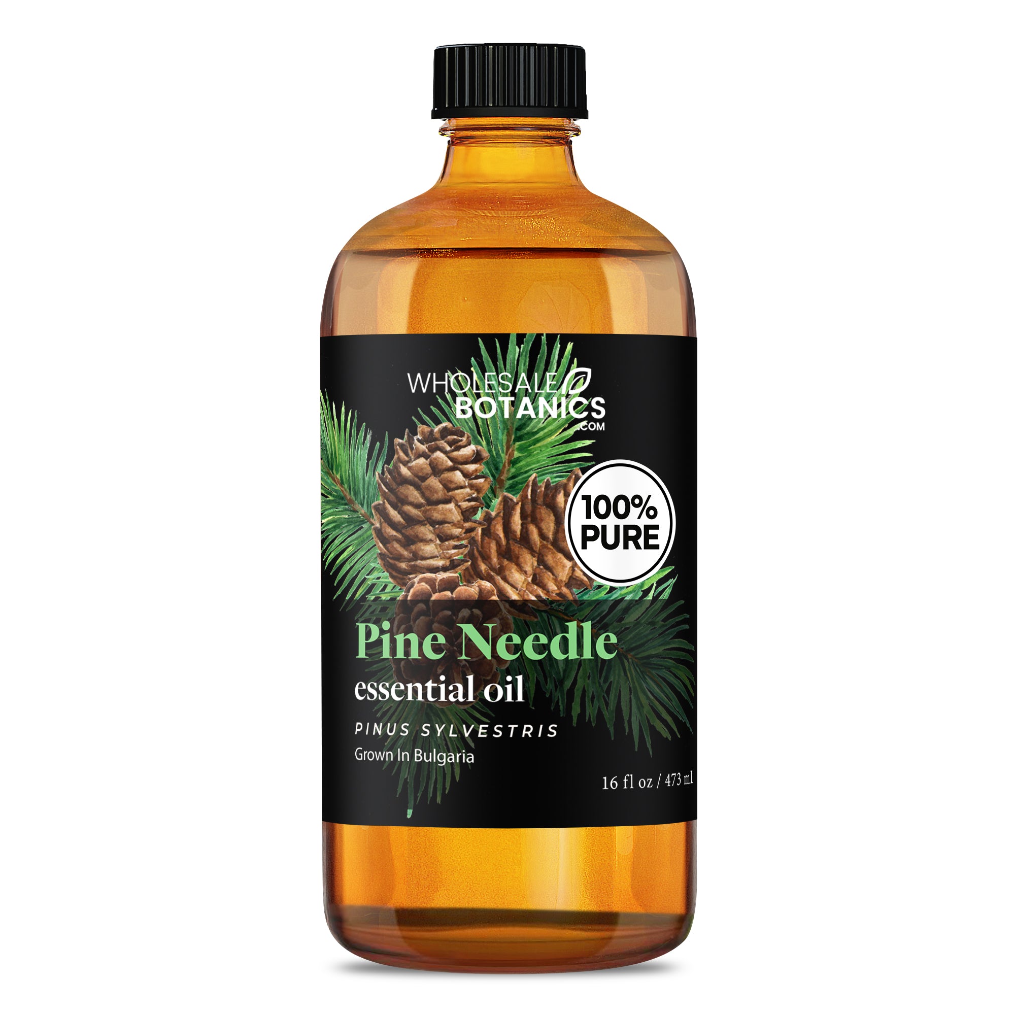 Pine Needle Essential Oil