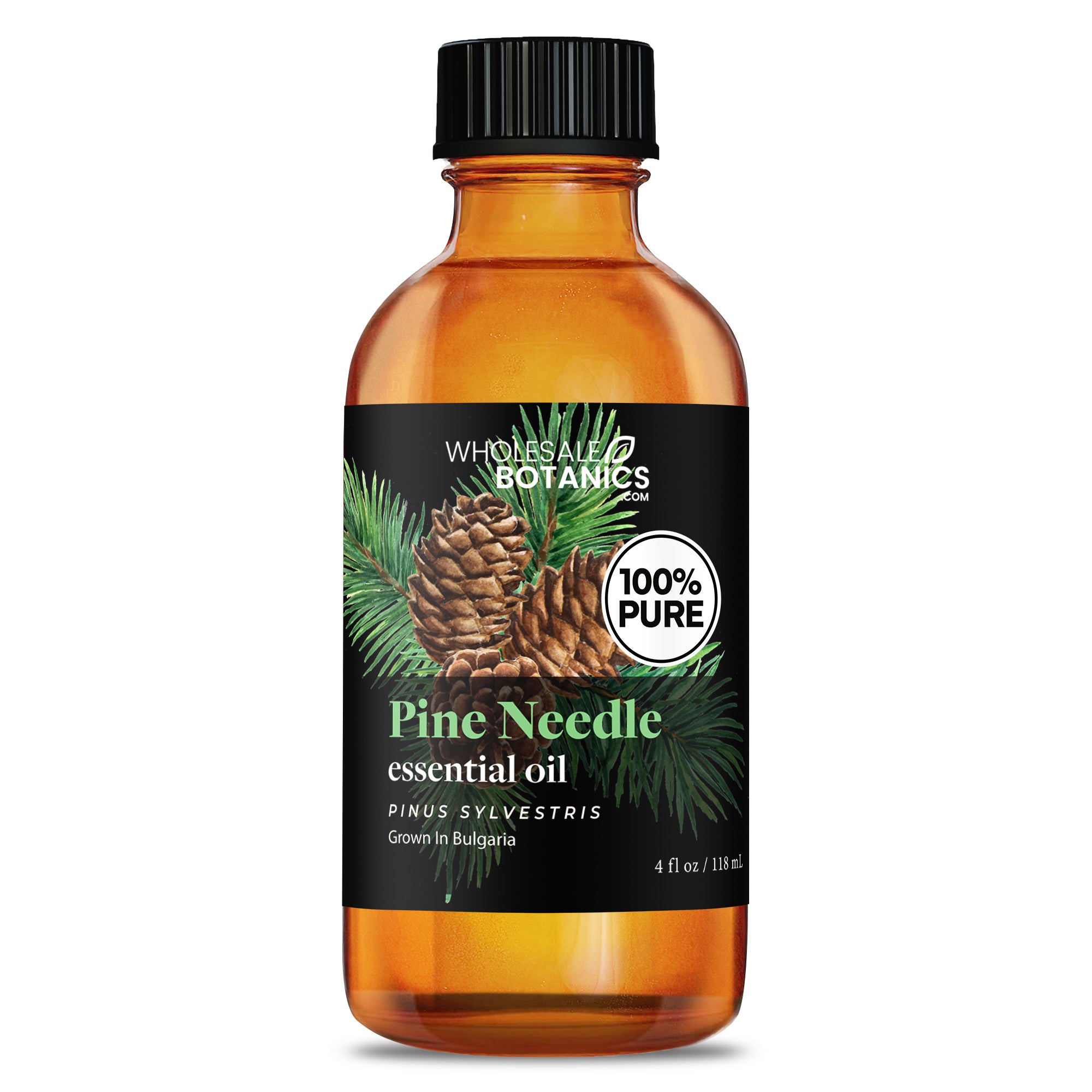 Pine Needle Essential Oil