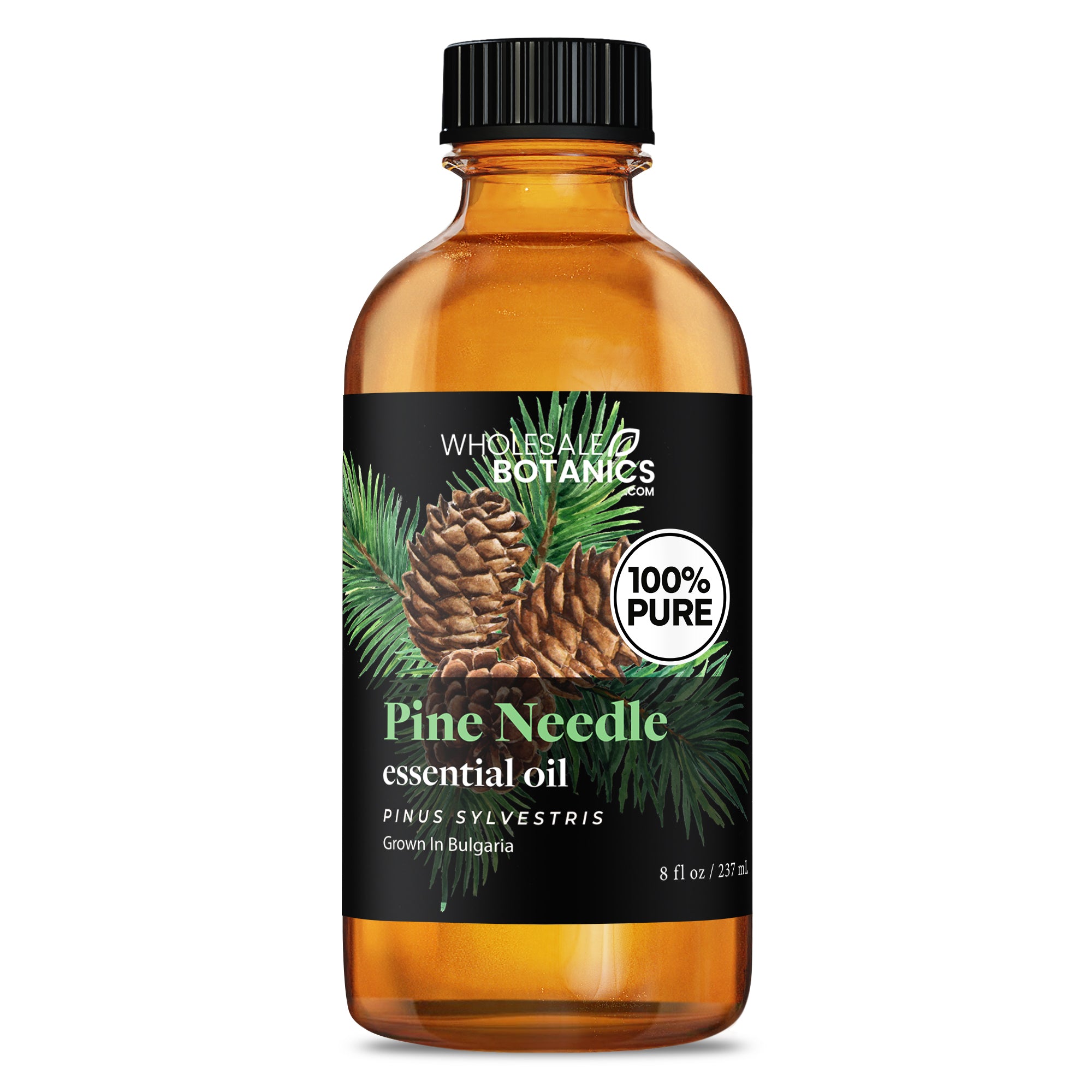 Pine Needle Essential Oil