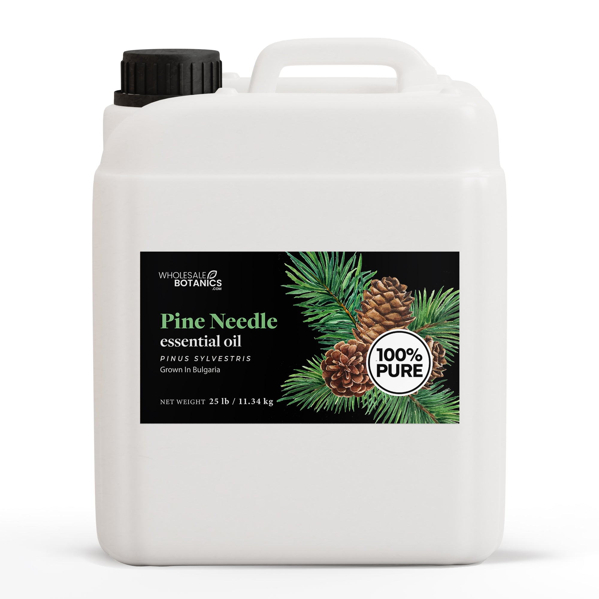 Pine Needle Essential Oil
