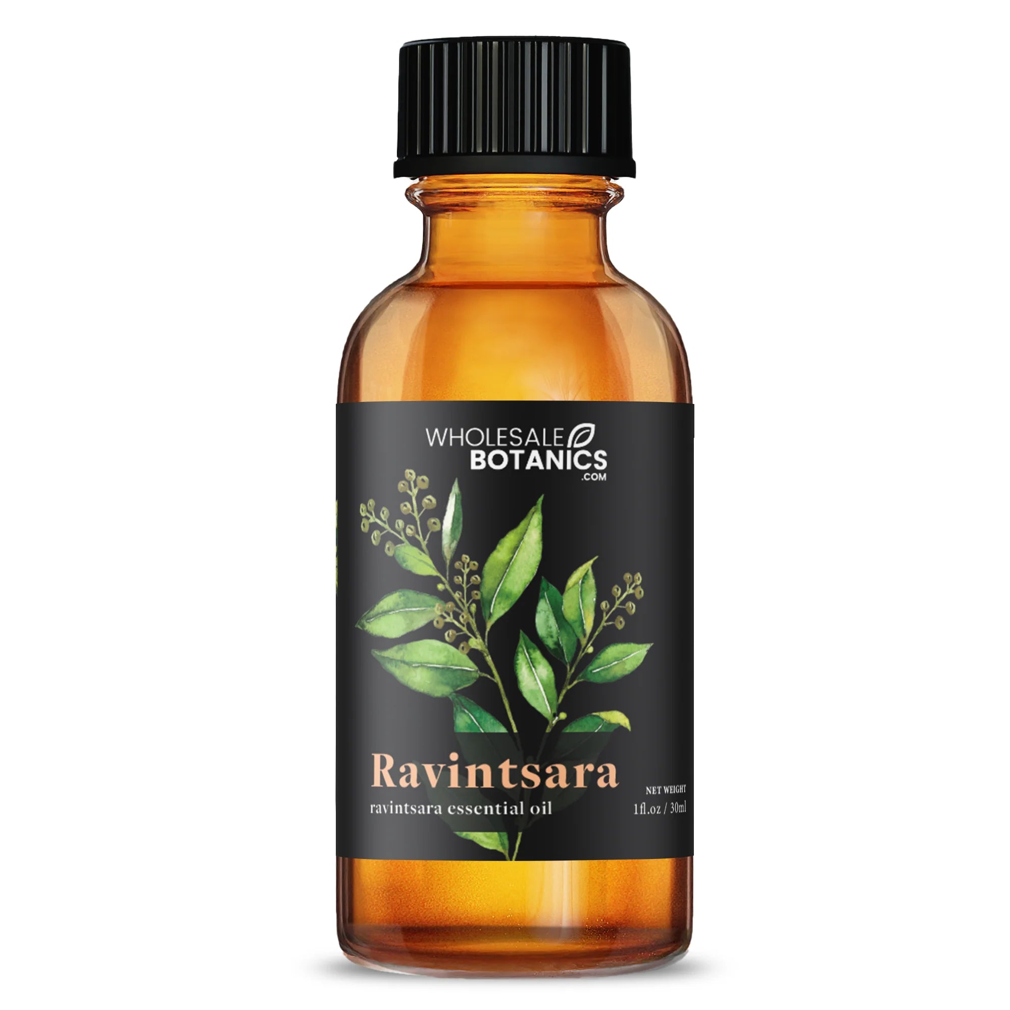 Botanical Essential Oil Bundle