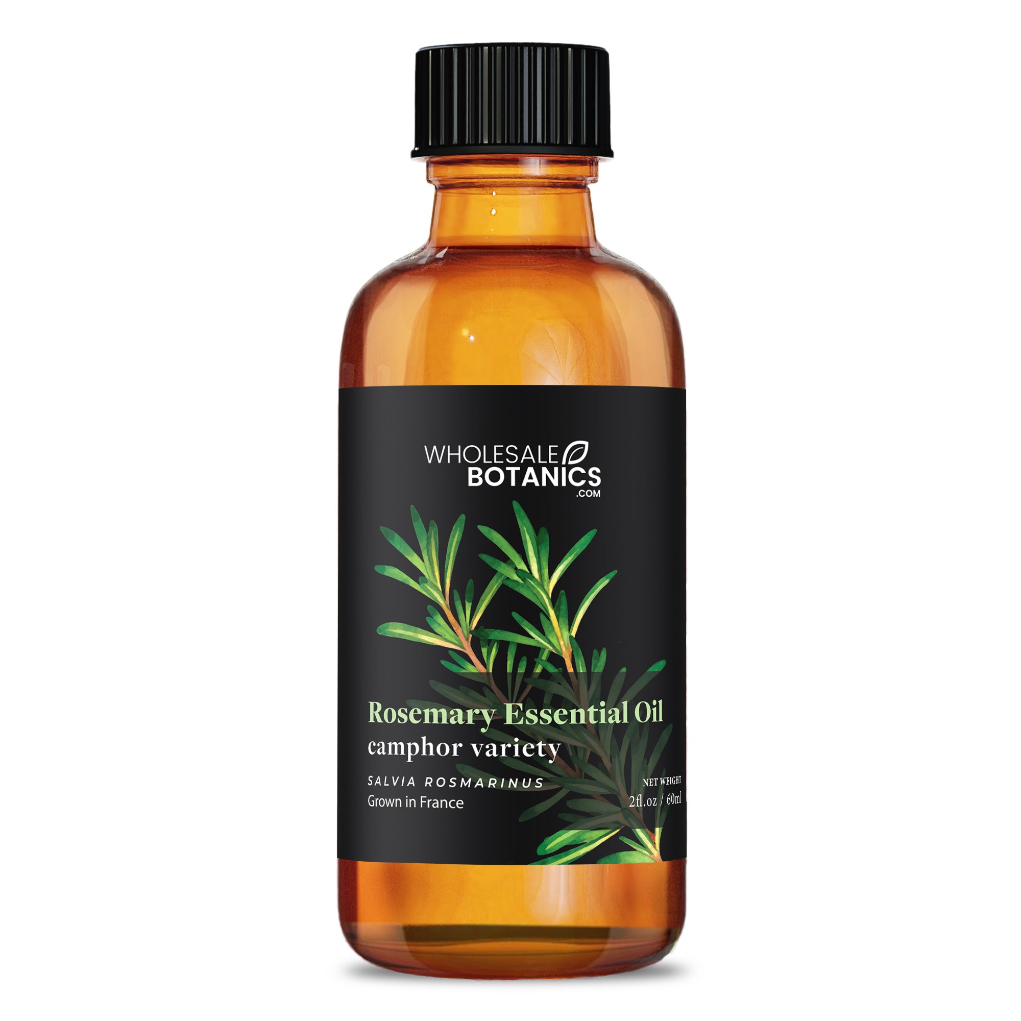 Rosemary Essential Oil - Camphor