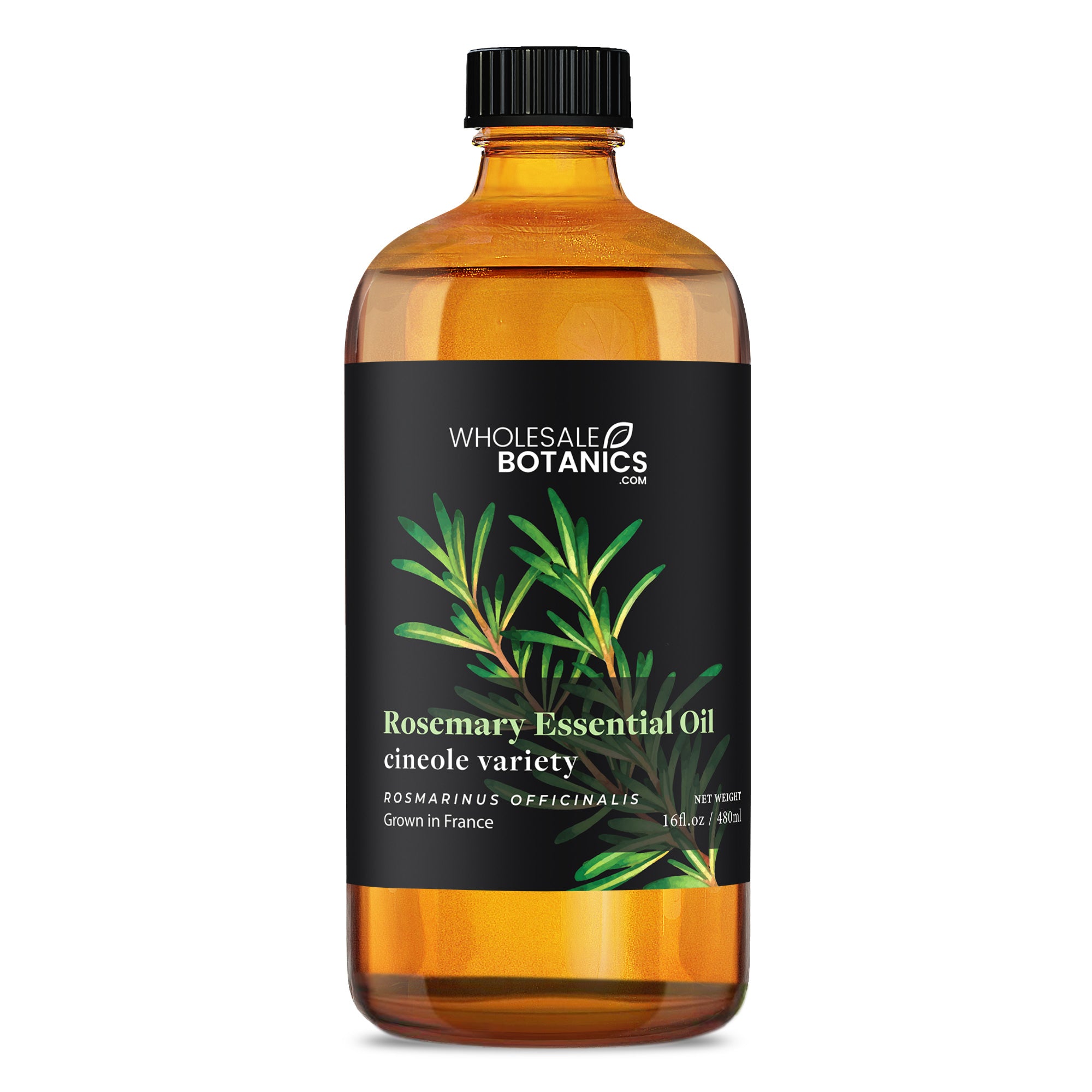 Rosemary Essential Oil - Cineole