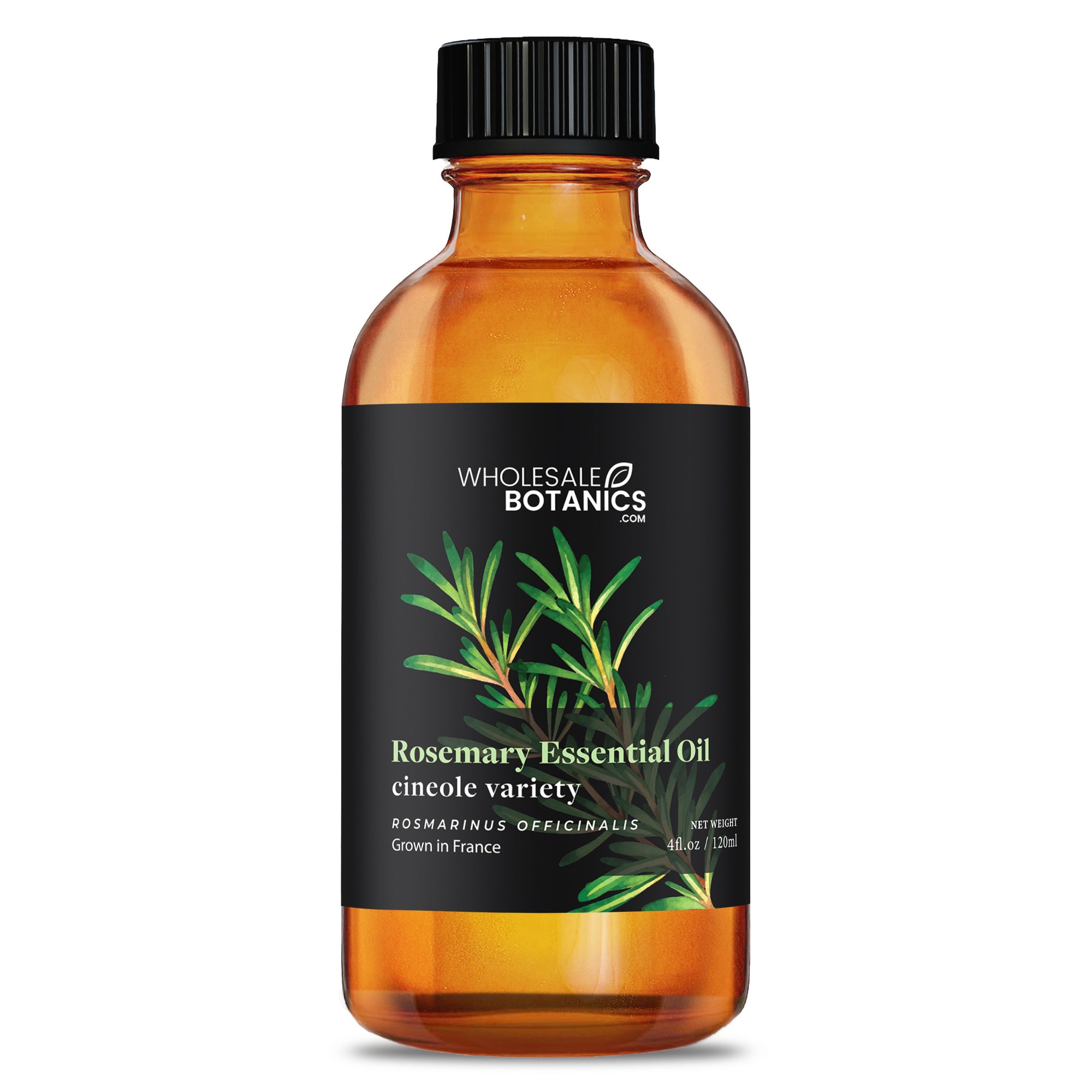 Rosemary Essential Oil - Cineole