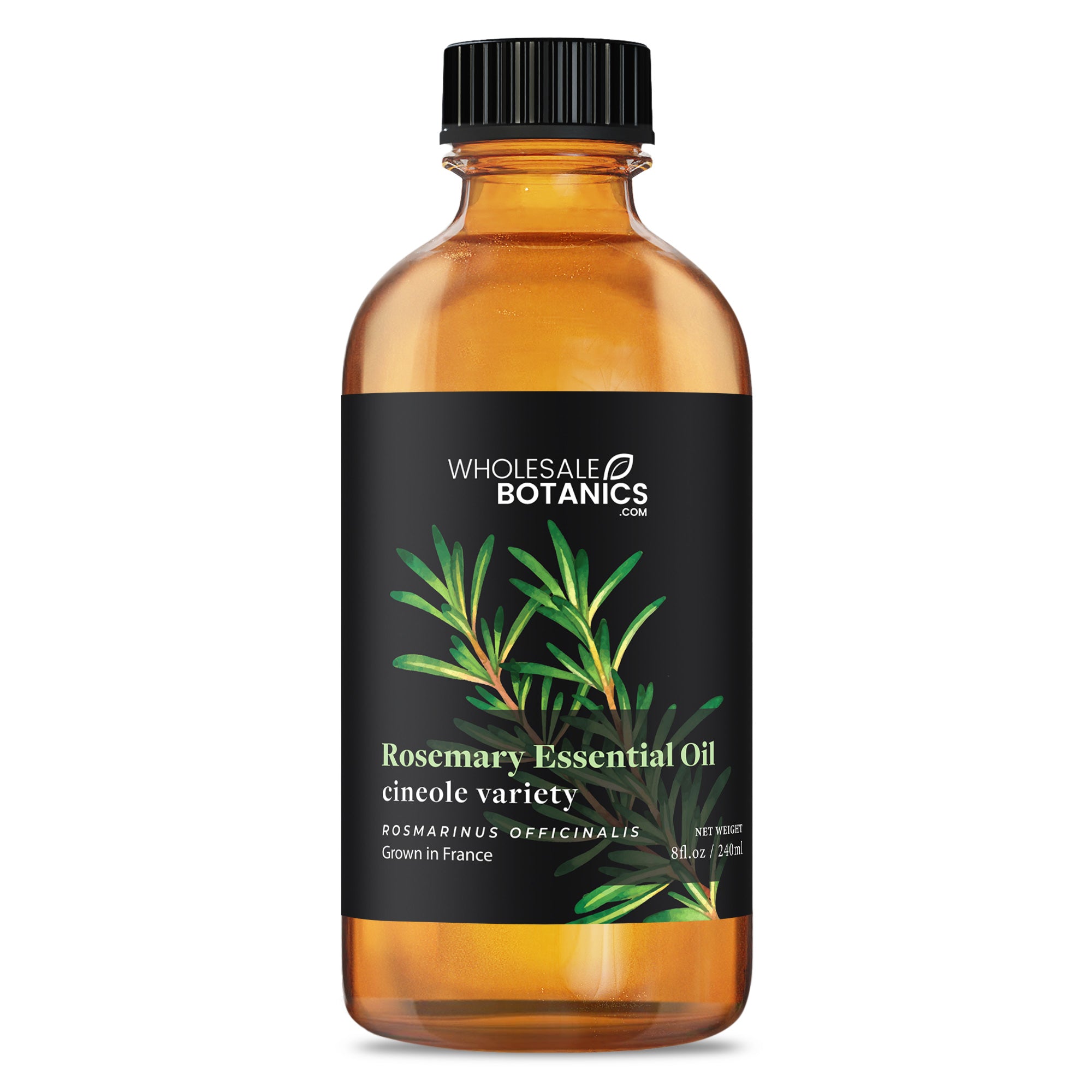 Rosemary Essential Oil - Cineole