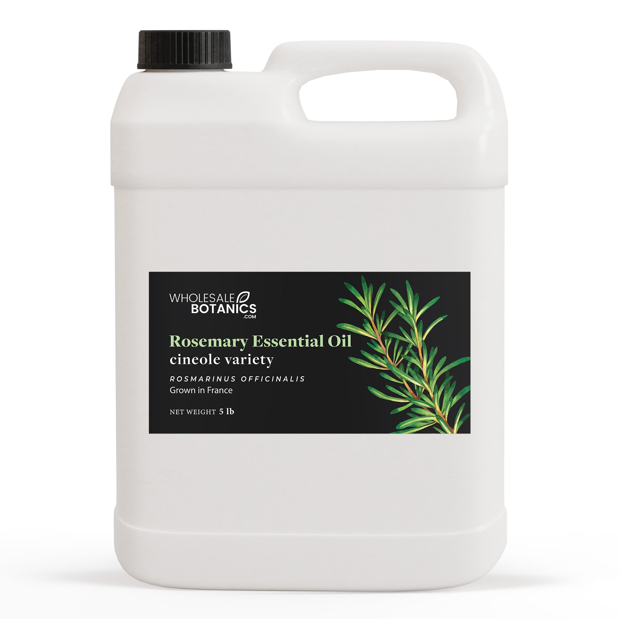 Rosemary Essential Oil - Cineole