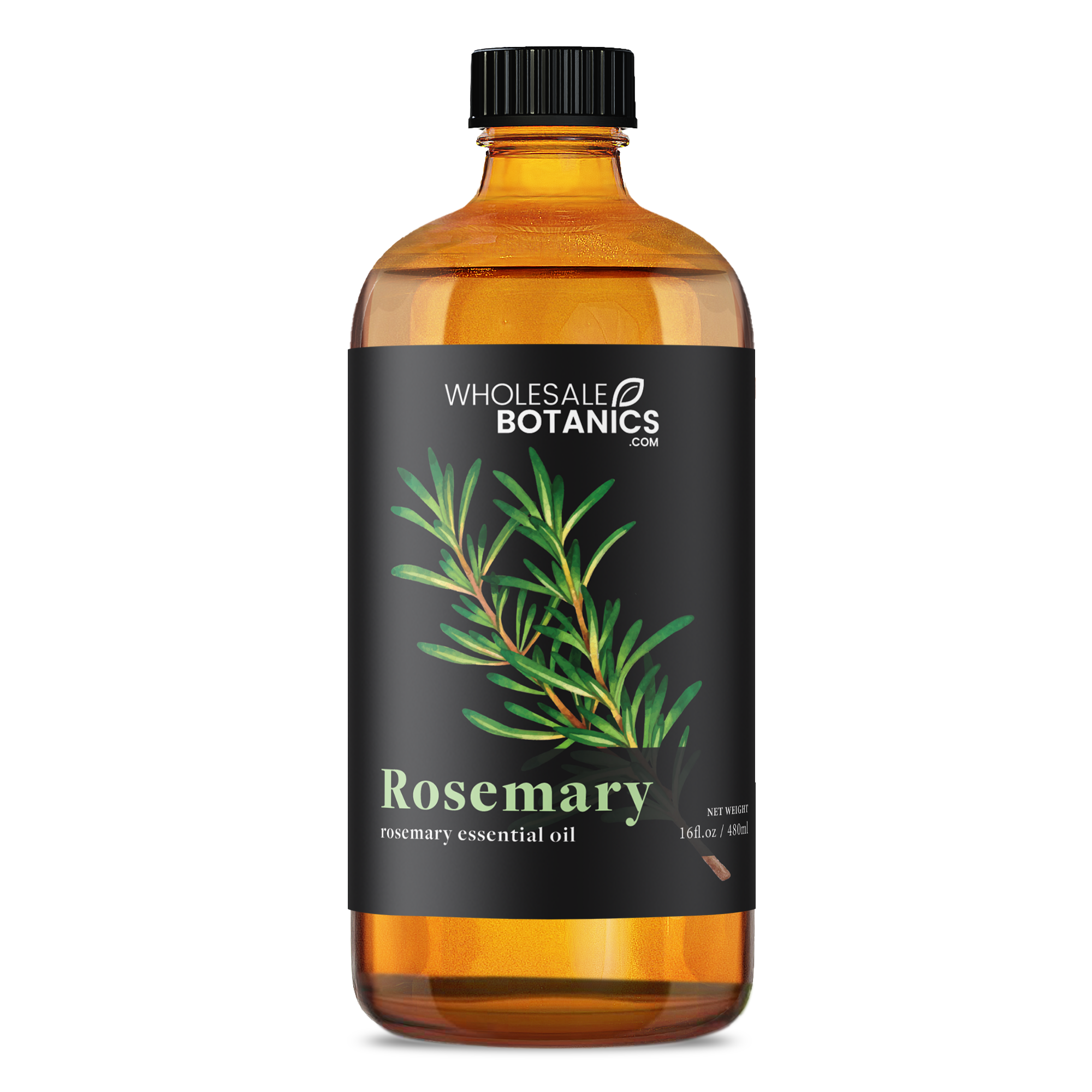 Rosemary Essential Oil - Botanical