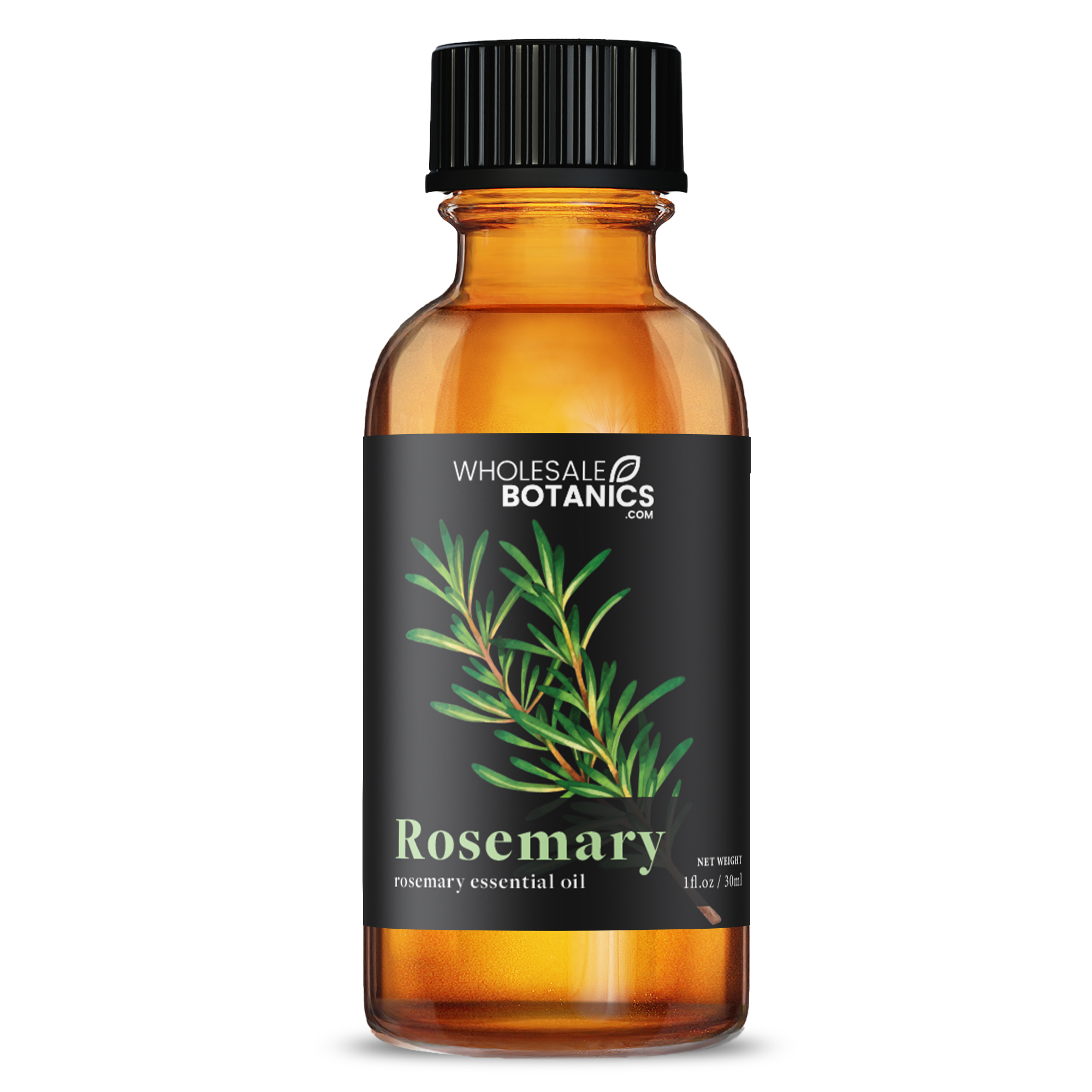 Rosemary Essential Oil - Botanical