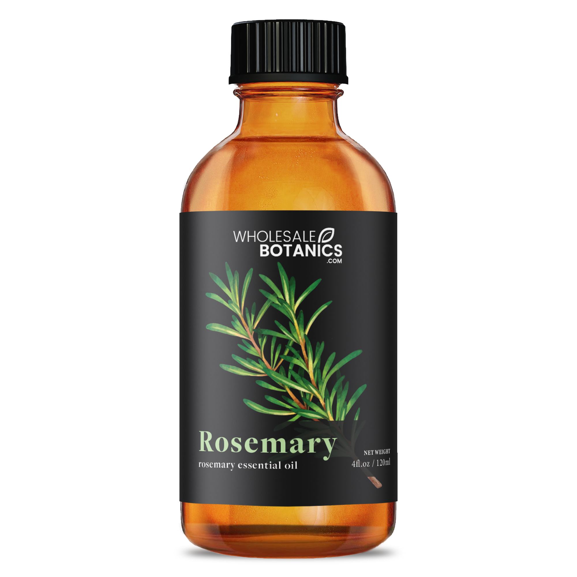 Rosemary Essential Oil - Botanical