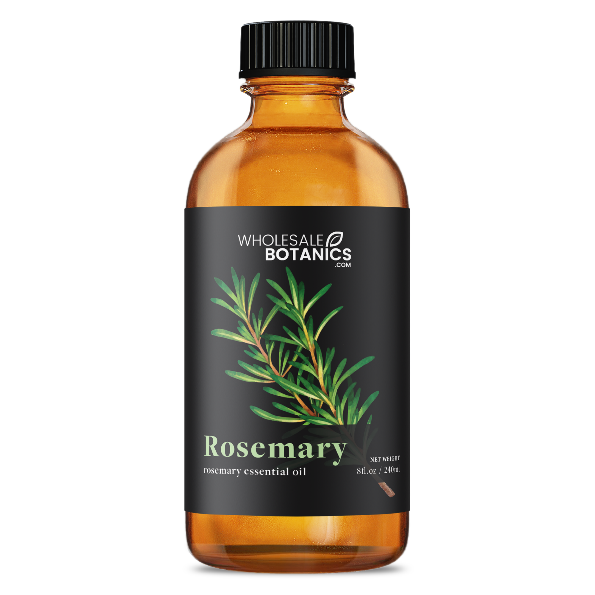 Rosemary Essential Oil - Botanical