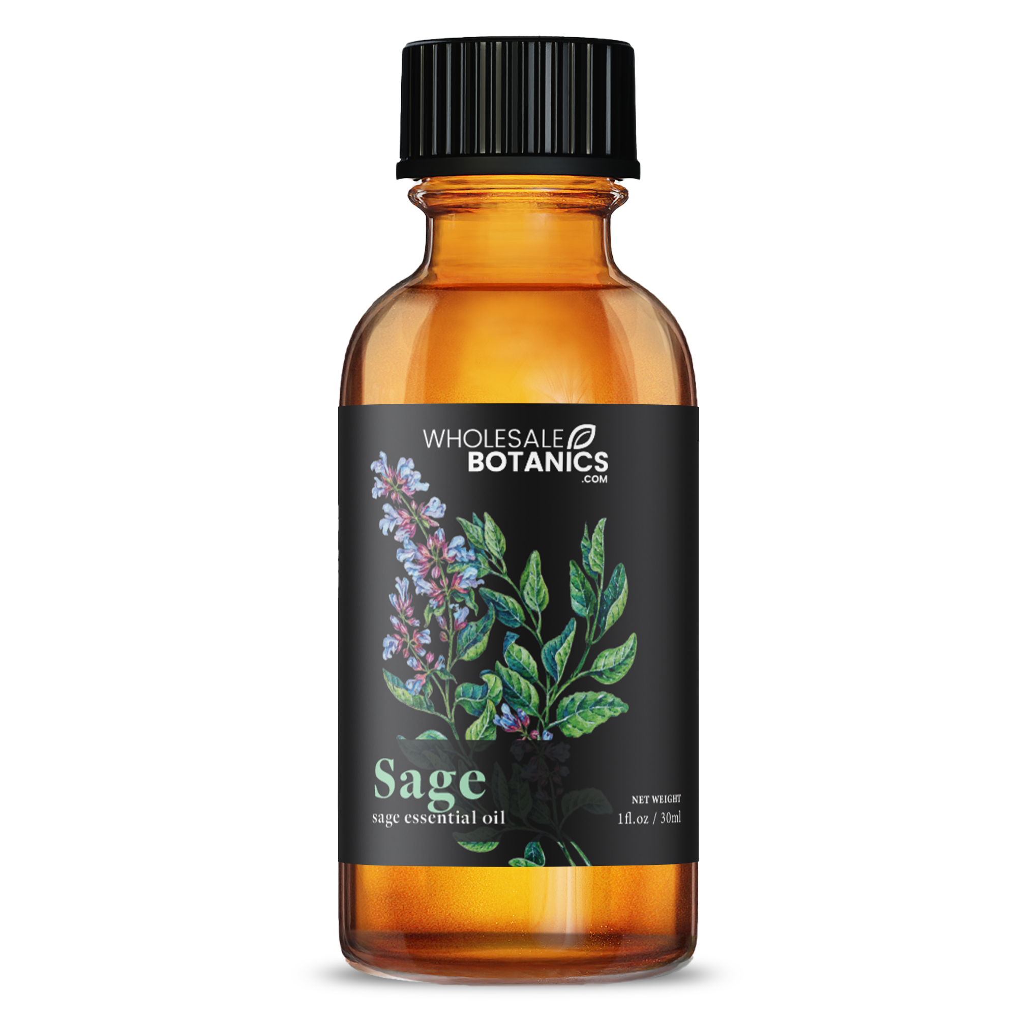 Sage Essential Oil - Botanical