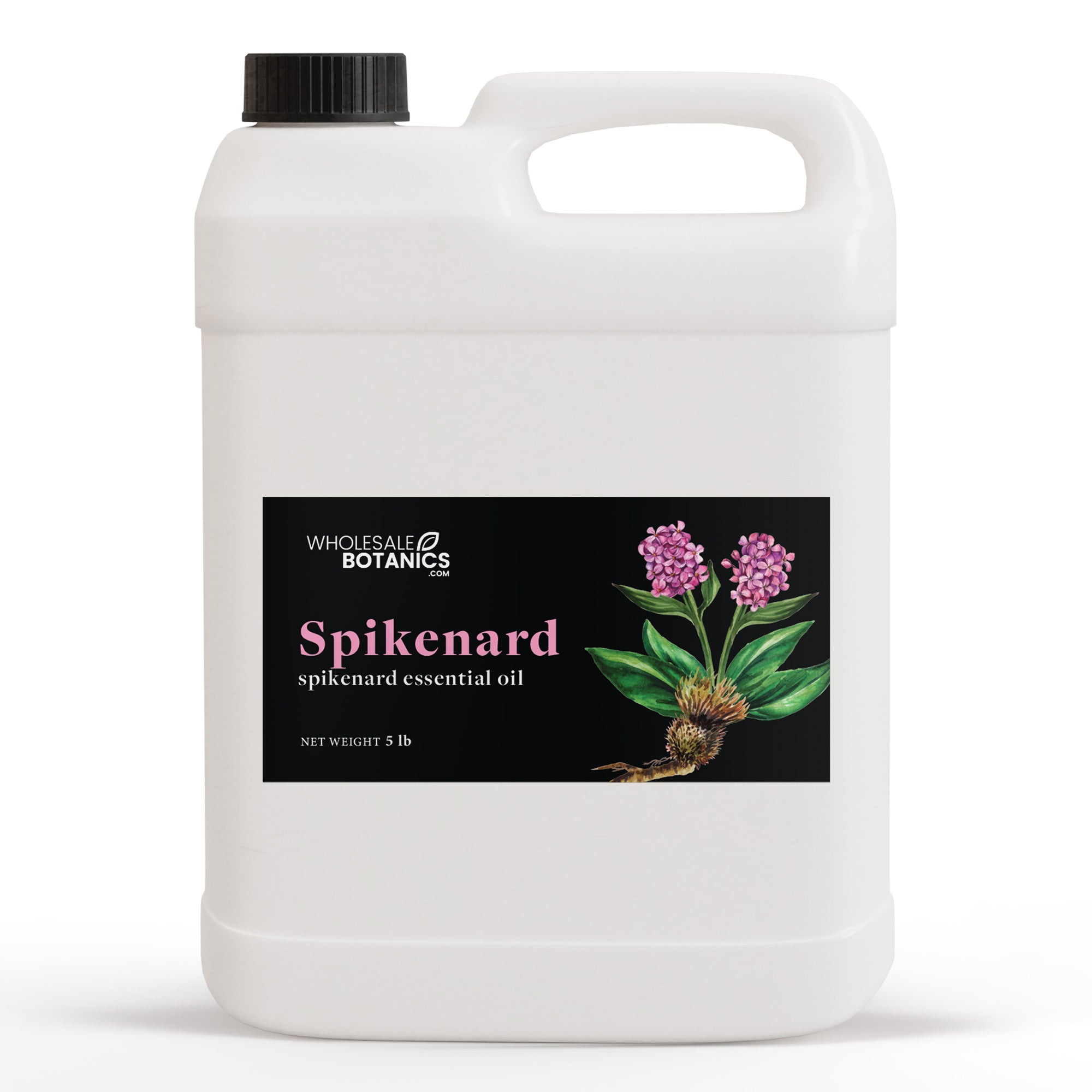 Spikenard Essential Oil - Botanical