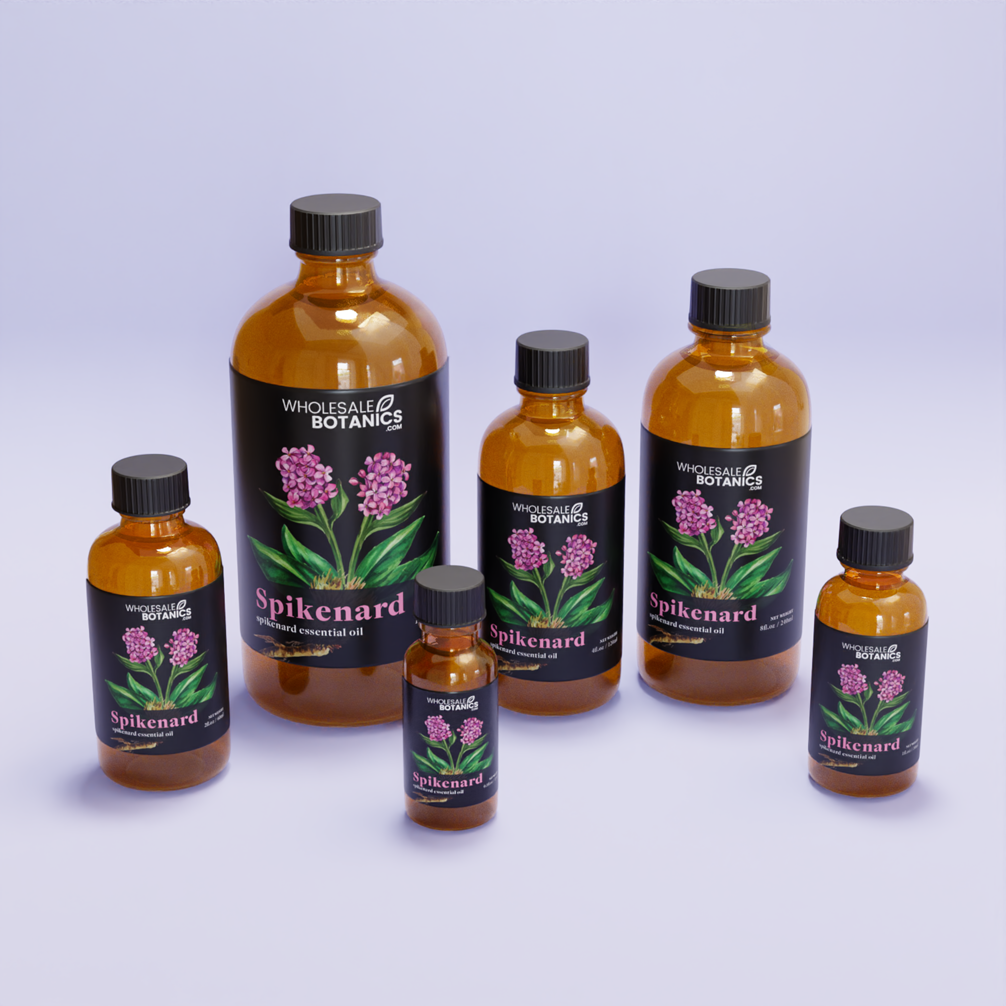 Spikenard Essential Oil - Botanical