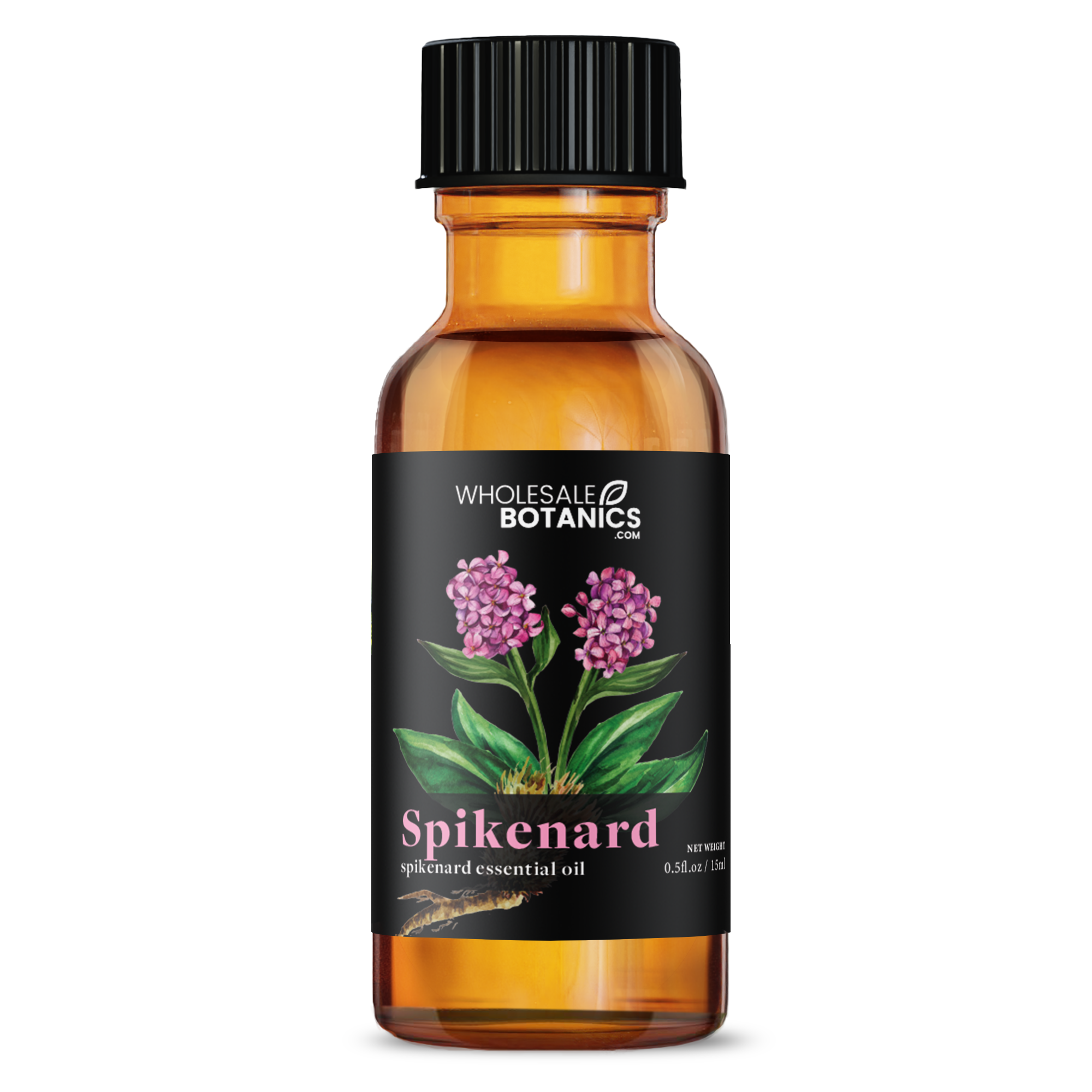 Spikenard Essential Oil - Botanical