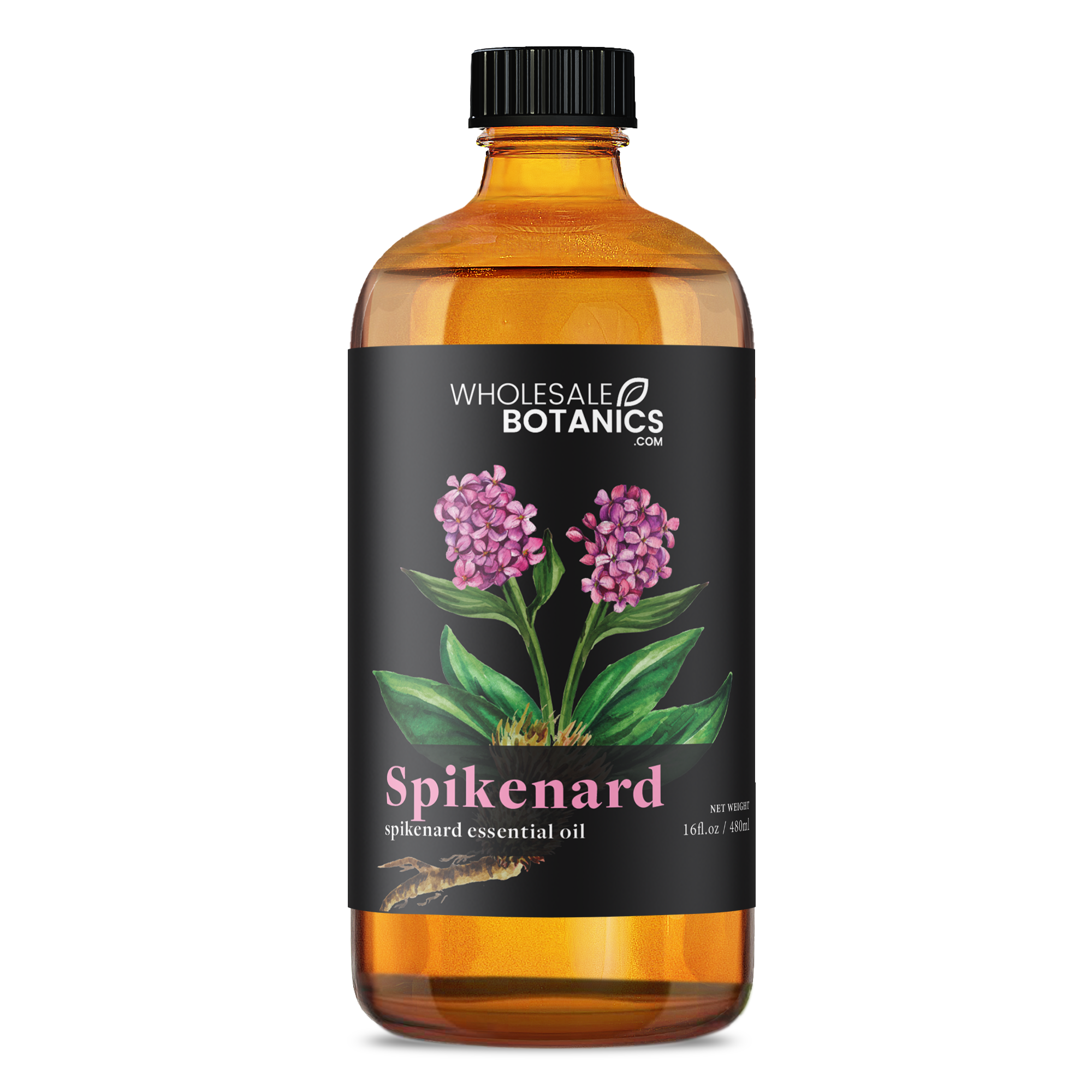 Spikenard Essential Oil - Botanical