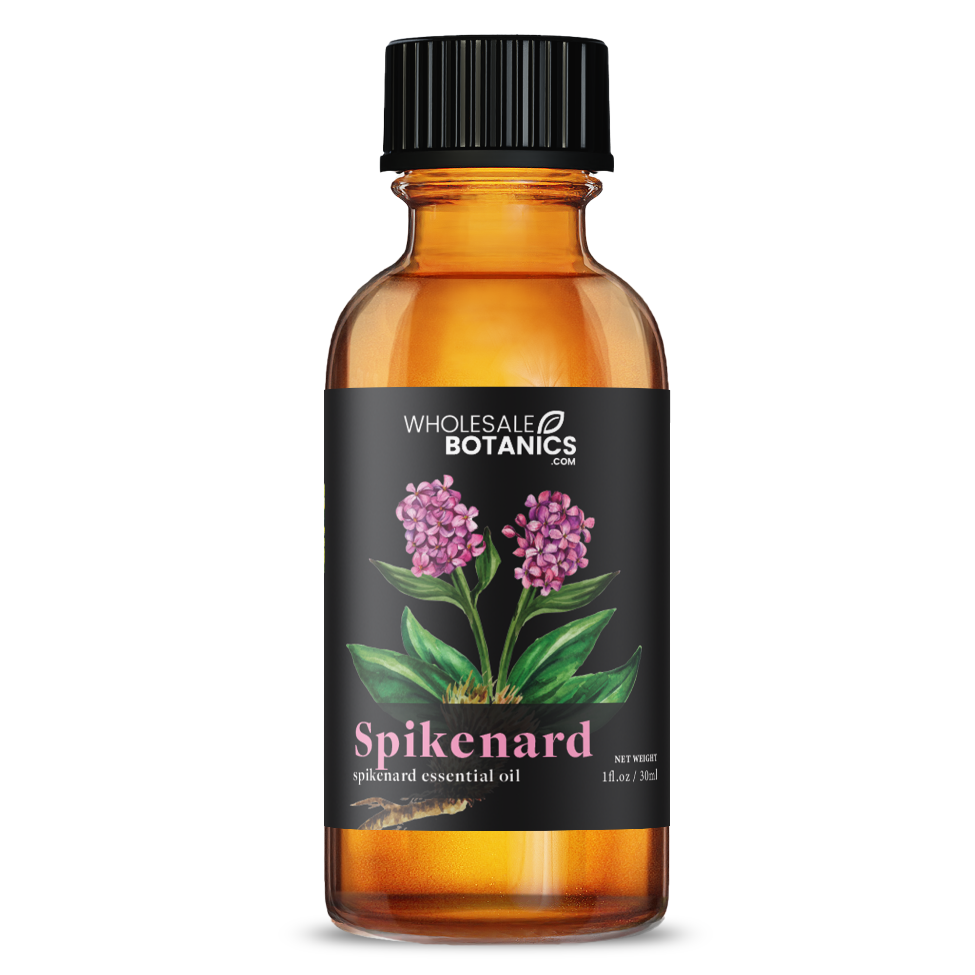 Spikenard Essential Oil - Botanical