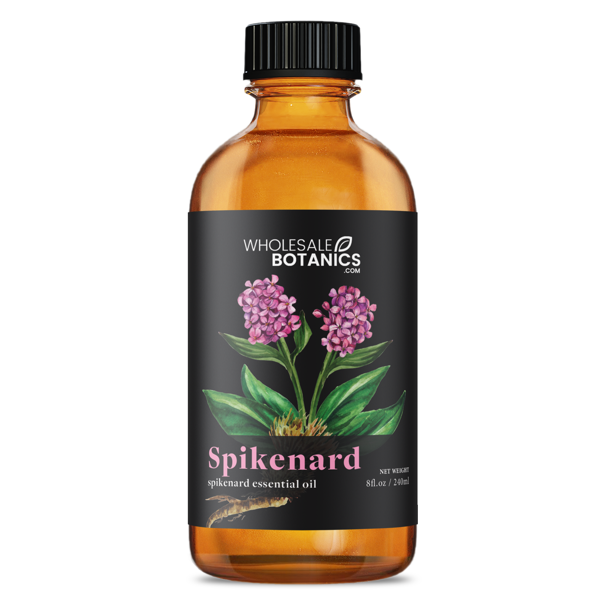 Spikenard Essential Oil - Botanical