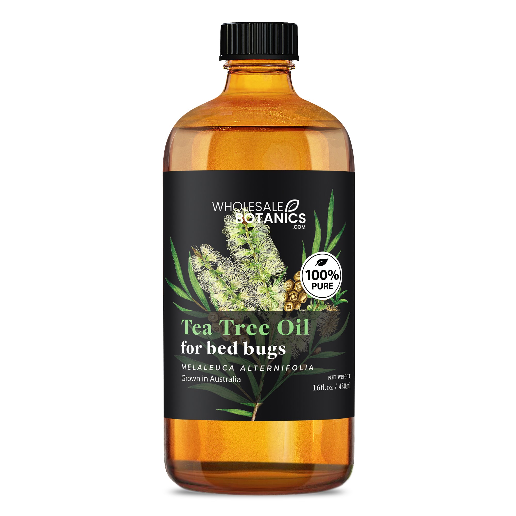 Tea Tree Oil for Bed Bugs