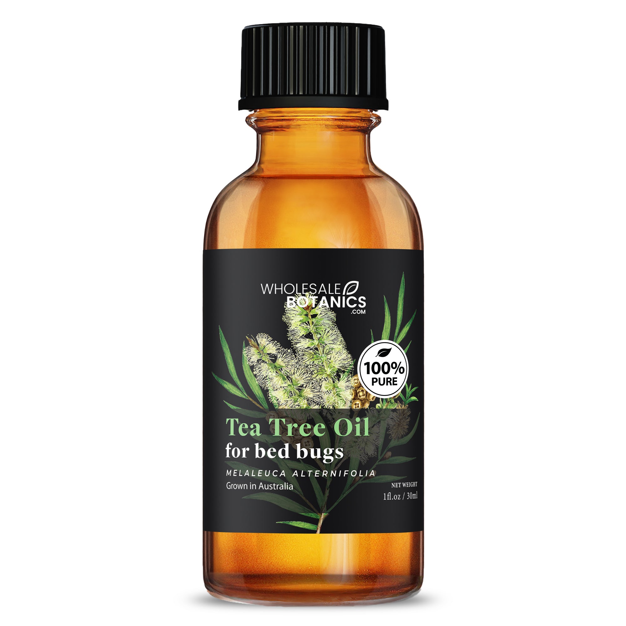 does lavender and tea tree oil kill bed bugs Tea Tree Oil for Bed Bugs